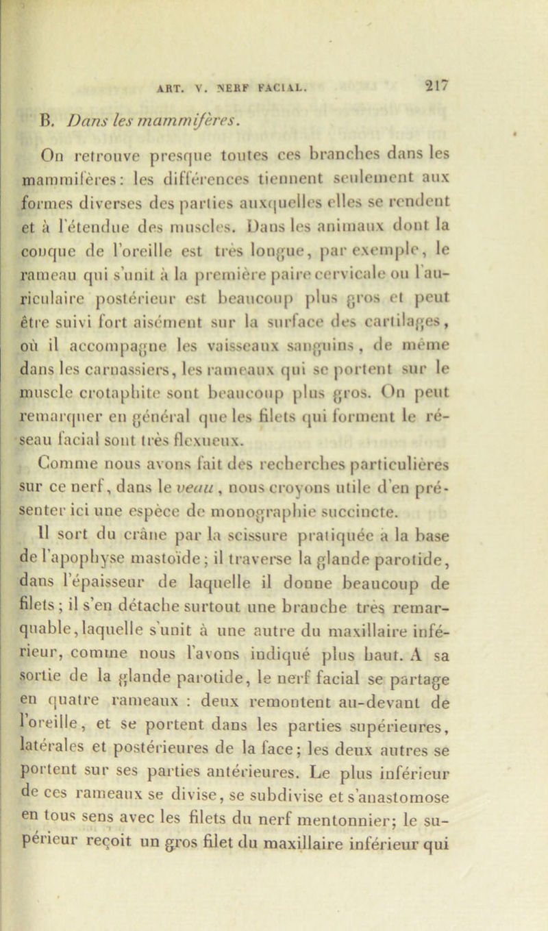 21? B. Dans les mammiferes. On retrouve presque toutes ces branches dans les mammiferes: les differences tiennent settlement aux formes diverses des parlies auxquelles elles se rendent et a l’etendue des muscles. Dans les aniinaux dont la conque de l’oreille est ties longue, parexemple, le rameau qni s’nnit a la premiere paire cervicale on 1 au- riculaire posterienr est beancoti[) plus gros el peut etre suivi fort aisement snr la surface des cartilages, on il accompagne les vaisseaux sanguins, tie meme dans les carnassiers, les rameaux qui se portent snr le muscle crotaphite sont beaticotip plus gros. On pent remarquer en general que les filets qui ferment le re- seau facial sont Ires flexueux. Comme nous avons fait des recbercbes particulieres sur ce nerf, dans le veau , nous croyons utile d en pre- senter ici une espece de monograpbie succincte. 11 sort du crane par la scissure pratiquee a la base de l’apophyse mastoide; il traverse la glande parotide, dans lepaisseur de laquelle il donne beaucoup de filets ; il s’en detache surtout une branche tres retnar- qttable,laquelle s’unit a une autre du maxillaire infe- rieur, comme nous l’avons iudique plus baut. A sa sortie de la glande parotide, le nerf facial se partage en quatre rameaux : deux remontent au-devanl de 1 oreille, et se portent dans les parties superieures, laterales et posterieures de la face; les deux autres se portent sur ses parties anterieures. Le plus inferieur de ces rameaux se divise, se subdivise et s anastomose en tous sens avec les filets du nerf mentonnier; le su- perieur reqoit un gros filet du maxillaire inferieur qui