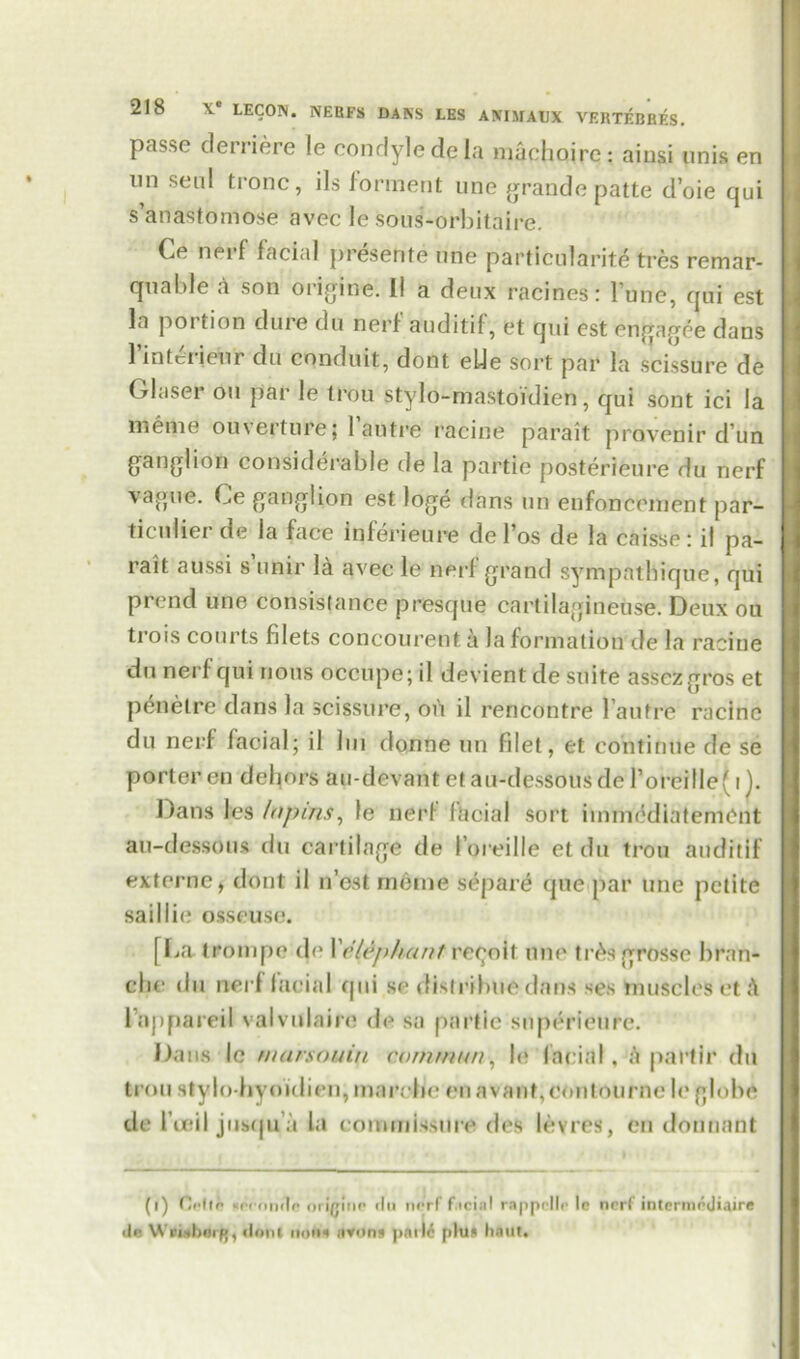 passe derriere le condyle de la nuichoirc: ainsi unis en 11,1 sei|l ti-onc, ils forment une grande patte d’oie qui s’anastomose avec le sous-orbitaire. Ce nerf facial presente une particularity tres remar- quable a son origine. II a deux racines: l’une, qui est la portion dure du nerf auditif, et qui est engagee dans 1 intciieur du conduit, dont elle sort par la scissure de Glaser on par le trou stylo-mastoidien, qui sont ici la meme ouverture; 1 autre racine parait provenir d un ganglion considerable de la pai'tie posterieure du nerf vague. Ce ganglion est loge dans un enfoncement par- ticuliei de la face inferieure de l’os de la caisse: il pa- rait aussi s unir la avec le nerf grand sympathique, qui prend une consislance presque cartilagineuse. Deux ou trois courts filets concourent a la formation de la racine du nerf qui nous occupe; il devient de suite assczgros et penelre dans la scissure, on il rencontre 1’aufre racine du nerf facial; il bti donne un filet, et continue de se porter en dehors au-devant et au-dessous de PoreilIe( i). Dans les Inpins, le nerf facial sort immediatemOnt au-dessous du cartilage de I’oreille et du trou auditif externe, dont il n’est meme separe que par une petite saillie osseuse. [Da trompe dc I 'elephant revolt une tr£s grosse bran- ebe du nerf facial qui se distribue dans ses muscles ct l'appareil valvulaire de sa pnrtic superieurc. Dans le marsonin cornmun, le facial, ;i partir du trou stylo-hyoklien, marchc en nvant,eontourne le globe de 1’ueil jusqu’a la commissure des levies, en donnant (i) Cplli «reon(lr orig!iif* du nerf f.icinl rappcllr le nerf intermedi&ire de Wri.iboiR, dont nons itvons pnrl6 phi* haut.
