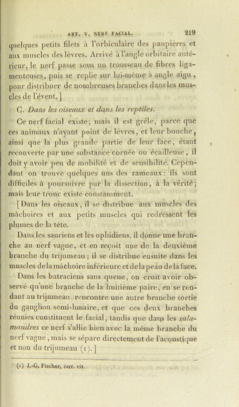 quelques petits filets a l’orbiculaire des paupieres et aux muscles deslevres. Arrive a I’angle orbitaire ante- rieur, le nerf passe sous un trousseau de fibres liga- menteuses, puis se replie sur lui-meuie a augle aigu , pour distrilmer do nombreuses branches dansles mus- cles de 1’event. ] C. Dans les oiseaux et duns /es reptiles. Ce nerf facial existe; mais il est grele, parce que ces auimaux n’avant point de levres, ct lour boitche, ainsi que la plus grande partie de leur face, etant reconvene par line substance corner on ^cailleuse, il doit y avoir pen de mobilite et de sensibilite. Cepen- dant on trouve cjuelques tins des rameaux: ils sont difficiles a poursuivre par la dissection, k la verity; mais leur tronc existe constamment. [ Dans les oiseaux, il se distribue aux muscles des machoires et aux petits muscles qui redressent les plumes de la tete. Dans les sauriens et les ophidiens, il donne line bran- cbe au nerf vague, et en recoit une de la deuxieme branche du trijumeau; il se distribue eusuite dans les muscles delamachoire inferieureetdelapean dela face. Dans les batraciens sans queue, on croit avoir ob- serve qu’une branche de la huitieme paire, en se ren- dant an trijumeau. rencontre une autre branche sortie du ganglion semi-lunaire, et que ces deux branches reunies constituent le facial, tandis que dans les sa/a- mandres ce nerf s’allie bien avec la meme branche du nerf vague, mais se separe directement de l’acoustique et non du trijumeau (1).] (i) J.-G, Fischer, ouv. cit.