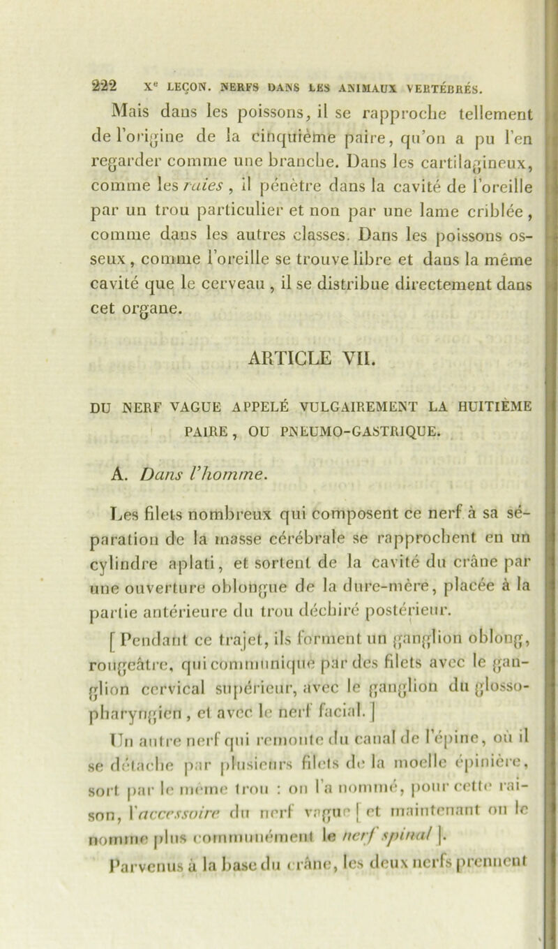 Mais dans les poissons, il se rapproche tellement del’origine de la cinquieme paire, qn’on a pu l’en regarder comme une brancbe. Dans les cartilagineux, coiTime \esruies, il penetre dans la cavite de l’oreille par un trou particular et non par une lame criblee, comme dans les autres classes. Dans les poissons os- seux , comme l’oreille se trouve libre et dans la meme cavite que le cerveau , il se distribue directement dans cet organe. ARTICLE VII. DU NERF VAGUE APPELfi VULGAIREMENT LA HUITIEME PAIRE, OU PKEUMO-GASTRIQUE. A. Dans Vhomme. Les filets nombreux qui composent ce nerf a sa se- paration de la masse cerebrate se rapprocbent en un cylindre aplati, et sortent de la cavite du crane par une ouVerture oblongue de la dure-mere, placee a la parlie anterieure du trou decbire posterieur. [ Pendant ce trajet, ils forment un ganglion oblong, rougcatre, qui communique pardes fdets avec le gan- glion cervical superieur, avec le ganglion du glosso- pharyfigien , et aver le nerl facial. | Un autre nerf qui remoute du canal de l’epine, on il se detaclie par plusieurs filets de la moelle epiniere, sort par le meme trou : on l a nomine, pour cette rai- son, I acccssoirr du nerf vague j et maintenant on le nomine plus eommunemenl le nerf spina! |. Parvenus a la bascdu crftne, les deux uerfs prennent