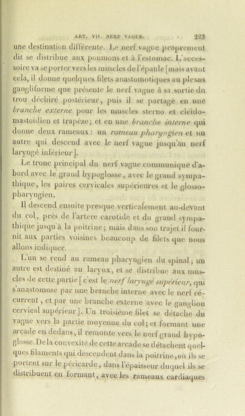 line destination dillerente. Le nerf vague proprement dit se distribue aux poumons et a I’estomac. L'aeees- soire va se porter vers les muscles de 1 epaule [ mais avaut cela, il doune quelques 1 ilets anastomotiques an plexus gangiiforme cjue preseute le uerf vague a sa sortie da trou declare posterieur, puis il se partake t*n line branehe externe pour les muscles sterno et cleido- niastoidieu et trapeze; et eu uue brunche interne qui donne deux rameaux : ua rumeau phuryn ^ien et an autre qui descend avec 1c uerf vague jusqn au nerf larynge iuferieur]. Le trouc principal da nerf vague communique d’a- bord avec le grand hypoglosse, avec le grand sympa- tbiqae, les paires cervicales superieures et le glosso- pharyngien. 11 descend ensuite presque verticolement aa-devant da col, pres de 1 artere carotide et da grand sympa- thique jusqu a la poitrine; mais dans >on trajet il four- nit aux parties voisines beaucoap de filets que nous allons iudiquer. Luu se rend an rameau pbaryugien du spinal; un autie est destine au larynx, et se distribue aux mus- cles de cette partie [ c est le nerf larynge superieur, qui s anastomose par uue branehe interne avec le nerf re- current , et par uue branehe externe avec le ganglion cervical superieur]. Un troisieuie filet se detache du vague vers la partie moyeuue du col; et formant one arcade eu dedans, il remonte vers le uerf grand hvpo- glosse. Dela convexite de cette arcade se detacheut quel- ques filaments qui descended dans la poitrine,oil ils se portent sur le pericarde, dans 1 epaisseur duquel ils se distribueut eu formant, avec les rameaux cardiaques