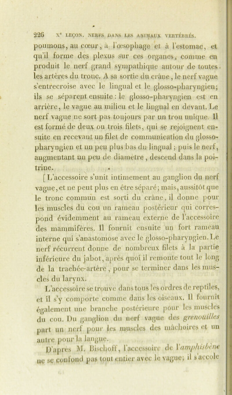 poumoiis, au coeur, a l'oesophage et a festomac, et qu’il forme des plexus sur ces organes, comme en produit le nerf grand sympathique autour de toutes. les arteres du tronc. A sa sortie du crane, le nerf vague s’entrecroise avec le lingual et le glosso-pharyngien; ils sc separeut ensuite: le glosso-pharyngien est en arricre, le vague au milieu et le lingual en devant. Le nerf vague ne sort pas toujours par un trou unique 11 est forme de deux ou trois filets, qui se rejoignent en- suite en recevant un filet de communication du glosso- pharyngien et un peu plus has du lingual; puis le nerf, augmentant un peu de diametre , descend dans la poi- triue. [L’accessoire s’unit intimement au ganglion du nerf vague, et ne peut plus en etre separe; mais, aussitot que le tronc commun est sorti du crane, il donne pour les muscles du cou un rameau posterieur qui corres- pond (Widemment au rameau externe de l’accessoire des mammiferes. 11 fournit ensuite un fort rameau interne qui s’anastomose avec le glosso-pharyngien. Le nerf recurrent donne de nombreux filets a la partie infericure du jabot,apres quoi il remonte tout le long de la trachee-artere , pour se terminer dans les mus- cles du larynx. L’accessoire se trouvc dans tons les ordres de reptiles, et il s’y comporte cbmine dans les oiseaux. II fourmt egalcment unc branche posterieurc pour les muscles du cou. Du ganglion du nerf vague des grenouilles part un nerf pour les muscles des machoires et un autre pour Ja Jungue. D'apres M. BischoJFf, facccssoiiv dc Yamphisbime no sc conlond pas tout entier avec le vague; il saccole