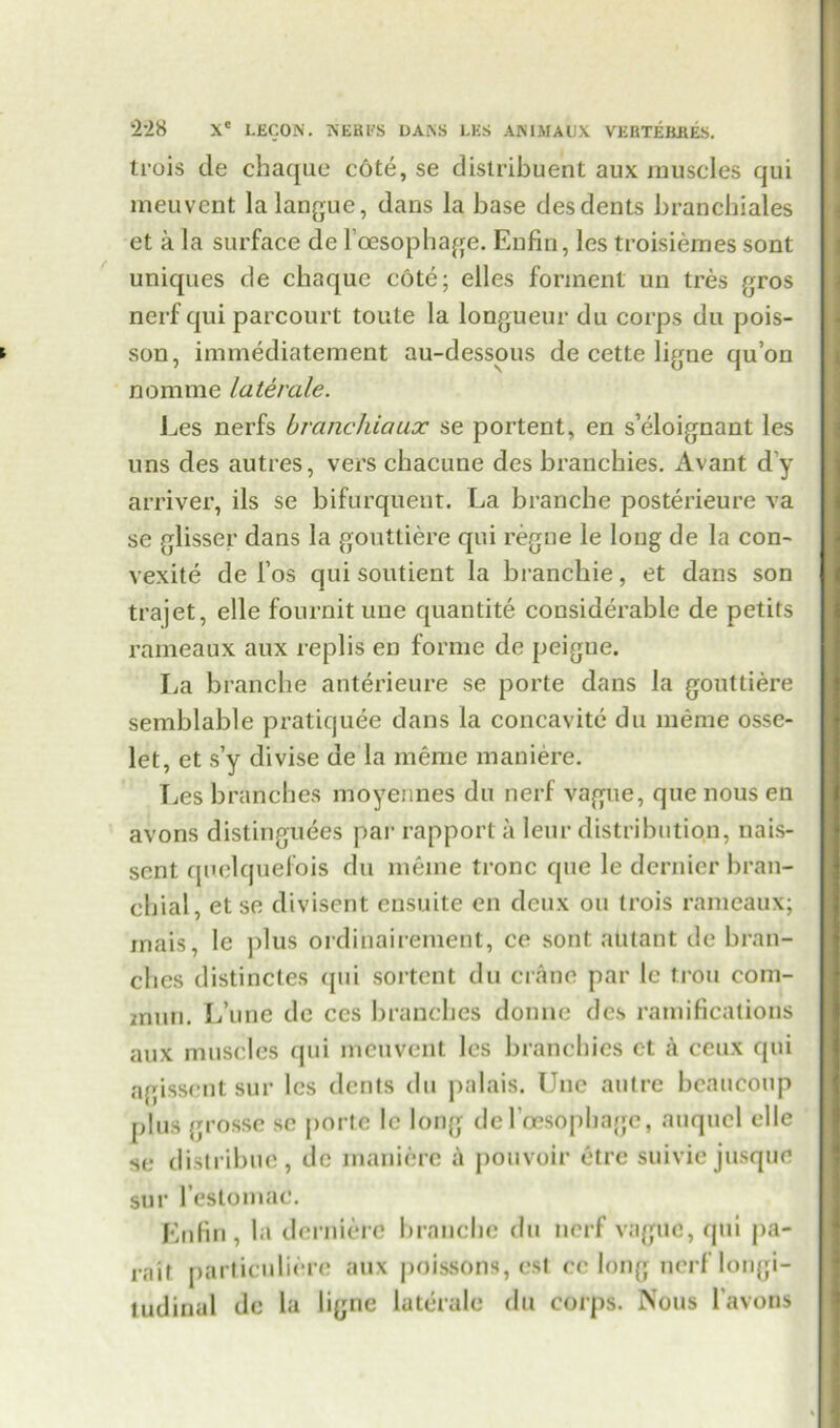 trois cle chaque cote, se distribuent aux muscles qui meuvent lalangue, dans la base des dents branchiales et a la surface de Foesophage. Enfin, les troisiemes sont uniques de chaque cote; elles forment un tres gros nerf qui parcourt toute la longueur du corps du pois- son, immediatement au-dessous de cette ligne qu’on nomme laterale. Les nerfs branchiaux se portent, en s’eloignant les uns des autres, vers chacune des brancbies. Avant d'y arriver, ils se bifurquent. La brancbc posterieure va se glisser dans la gouttiere qui regne le long de la con- vexite de Fos qui soutient la branchie, et dans son trajet, elle fournit une quantite considerable de petits rameaux aux replis en forme de peigne. La brancbe anterieure se porte dans la gouttiere semblable pratiquee dans la concavite du meme osse- let, et s’y divise de la meme maniere. Les branches ntoyennes du nerf vague, que nous en avons distinguees par rapport a leur distribution, nais- sent quclquefois du meme tronc que le dernier bran- chial, et se divisent ensuite en deux on trois rameaux; mais, le plus ordihairement, ce sont atitant de bran- ches distinctes <jui sortcnt du crane par le trou corn- mun. L’unc de ccs branches domic des ramifications aux muscles qui meuvent les brancbies ct a ceux qui agissent sur les dents du palais. Une autre beaucoup plus grossc se porte le long del’oesopbagc, auquel elle se distribue, de maniere pouvoir etre suivie jusque sur Festomac. Enfin, la dernierc brancbe du nerf vague, qui pa- raif particuliere aux poissons, est cc long nerf longi- tudinal de la ligne laterale du corps. Nous l'avons