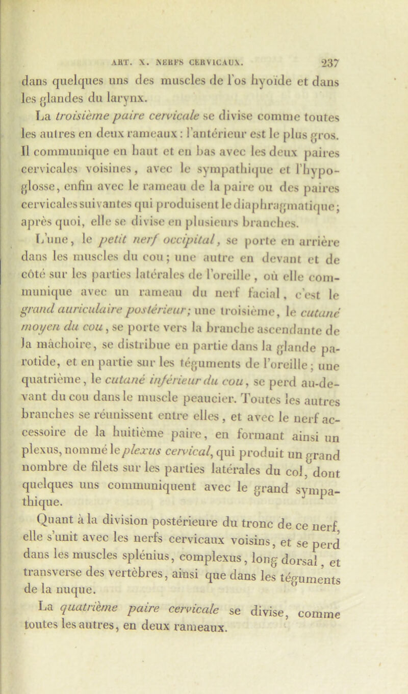 dans quelques uns des muscles de l'os hyoide et dans les glandes du larynx. La troisieme paire cervicale se divise comme toutes les aulres en deux rameaux: lanterieur est le plus gros. II communique en haut et en has avec les deux paires cervicales voisines, avec le syrapathique et l’hypo- glosse, enfin avec le rameau de la paire ou des paires cervicales suivantes qui produisent lediaphragmatique; apresquoi, elle se divise en plusieurs branches. L’une, le petit ner/ occipital, se porte en arriere dans les muscles du con; une autre en devant et de c6te sur les parties laterales de l’oreille , oil elle com- munique avec un rameau du nerf facial, cost le grandauriculaireposterieur; une troisieme, le cuCane mo pen du cou, se porte vers la brauche ascendante de la raachoire, se distribue eu partie dans la glande pa- rotide, et en partie sur les teguments de l’oreille; une quatrieme, le cutane injerieurdu cou, se perd au-de- vant du cou dansle muscle peaucier. Toutes les autres branches se reunissent entre elles, et avec le nerf ac- cessoire de la huitieme paire, en formant ainsi un plexus, nommele/^/exM cervical, qui produit un grand nombre de fdets sur les parties laterales du col, dont quelques uns communiquent avec le grand svnq)a- thique. Quant ala division posterieure du tronc de ce nerf elle s’unit avec les nerfs cervicaux voisins, et se perd dans les muscles splenius, complexus, long dorsal, et transverse des vertebres, ainsi que dans les teguments de la nuque. La quatrieme paire cervicale se divise, comme toutes les autres, en deux rameaux.