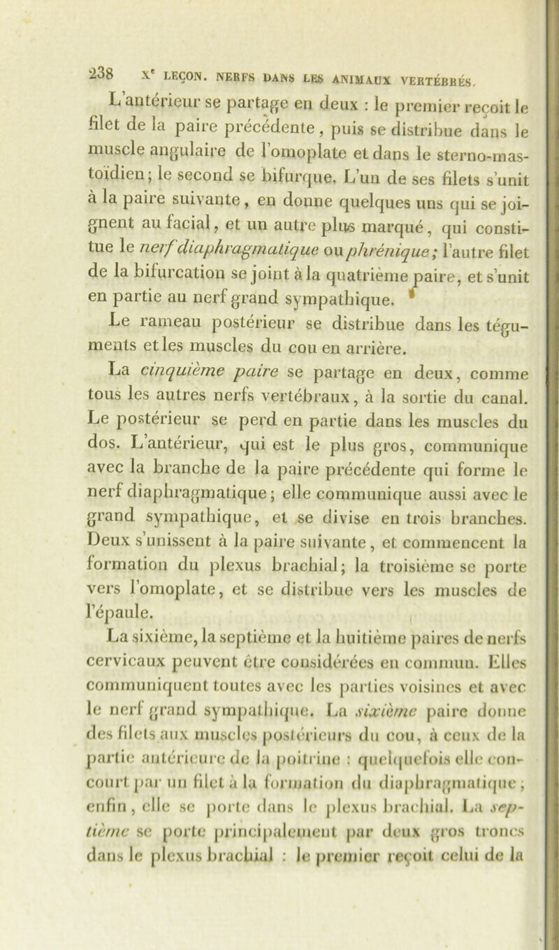 L anterieur se partage en deux : le premier recoit le filet de la paire precedente , puis se distribue dans le muscle angulaire de 1 omoplate et dans le sterno-mas- toidien, le secona se bifurque. Lun de ses filets s unit a la paiie suivante , en doune quelques uns qui se joi- gnent au facial, et un autre plus marque, qui consti- tue le nerf diaphragmatique ouphremque; l’autre filet de la bifurcation se joint ala quatrieme paire, et s’unit en partie au nerf grand sympathique. * Le rameau posterieur se distribue dans les tegu- ments etles muscles du cou en arriere. La cinquieme paire se partage en deux, comme tous les autres nerfs vertebraux, a la sortie du canal. Le posterieur se perd en partie dans les muscles du dos. L anterieur, qui est le plus gros, communique avec la branche de la paire precedente qui forme le nerf diaphragmatique; elle communique aussi avec le grand sympathique, et se divise en trois branches. Deux s unissent a la paire suivante, et commencent la formation du plexus brachial; la troisieme se porte vers l omoplate, et se distribue vers les muscles de l’epaule. La sixiemc, la septieme et la huitiemc paircs de nerfs cervicaux peuvcnt etre cousidcrees en commuu. Elies communiqueut toutes avec les parties voisines et avec le nerf grand sympathique. La sixiemc paire donne des filets aux muscles poslericurs du cou, a ceux de la partie antcricurcdc la poitriue : quehjuefois elle con- court par un filet a la formation du diaphragmatique; enfin, elle se porte dans le plexus brachial. La sep- tunic sc porte principalement par deux gros troncs dans le plexus brachial : le premier reyoit celui de la