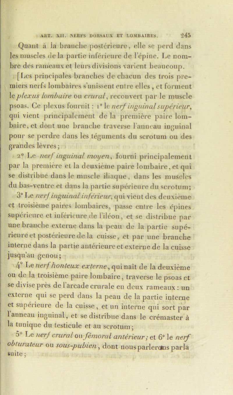 Quant a la brauche posterieure, elle se perd dans les muscles dela partie inferieure de l epinc. Le nom- bre des rameaux et leurs divisions varient beaucoup. [Les principales branches de cbacun des trois pre- miers nerfs lombaires s’unissent entre elles , et forment le plexus lombaire on crural, reconvert par 1c muscle psoas. Ce plexus fournit: i0 le nerj inguinalsuperieur, qui vient principalement de la premiere paire lom- baire,et clout line brauche traverse lanncau inguinal pour se perdre dans les teguments du scrotum ou des gran des lev res; 2° Le nerf inguinal moyen, fourni principalement par la premiere el la deuxieme paire lombaire, et qui se distribue dans le muscle iliaque, dans les muscles du bas-ventre el dans la partie superieure du scrotum; 3° Le nerj inguinal inferieur, qui vient des deuxieme et troisieme pa ires lombaires, passe entre les opines superieure et inlerieure de l’ileon, et se distribue par uue brauche externe dans la peau de la partie supe- rieuroet posterieure dela cuisse, et par une branche interne dans la partie anterieureet externe de la cuisse jusqu’au genou; 4° he nerf honteux externe, quinait de la deuxieme ou de la troisieme paire lombaire, traverse le psoas et se di\ ise pres de 1 arcade crurale en deux rameaux : un externe qui se perd dans la peau de la partie interne et superieure de la cuisse, et un interne qui sort par l’auneau inguinal, et se distribue dans le cremaster a la tunique du testicule et au scrotum; 5 Le nerf crural on femoral anterieur; et 6° le nerf obtu/ateur ou sous-pubien, dont nousparlerdcs parla suite;