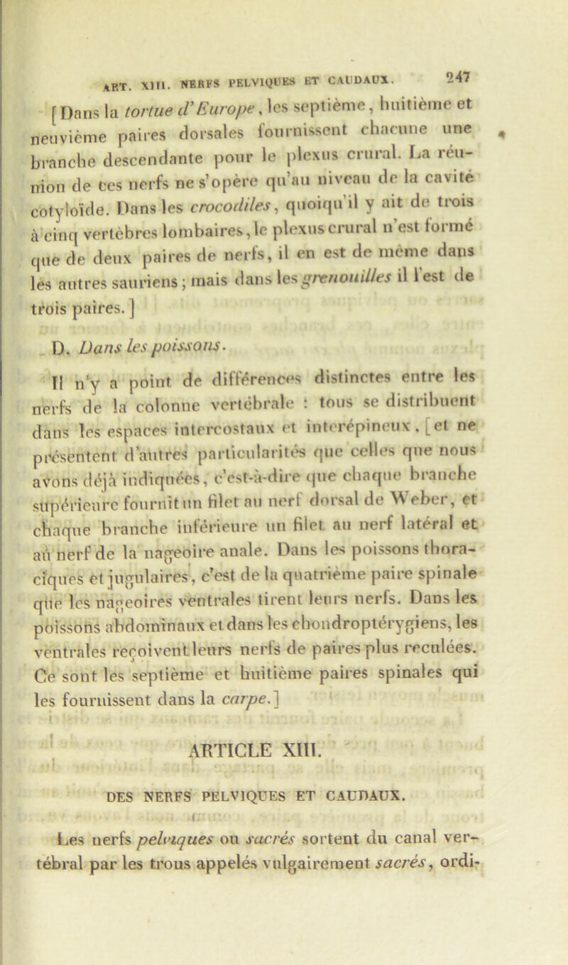 ART. XI11. NERFS PELV1QDES ET CAUDAUX. [ Dans la tortue cVEurope, lcs septieme, huitieme et neuvieme paires dorsales fournissent chacune une branch© descendant© pour le plexus crural. La mi- nion tie tes nerfs nes’opere qu’au niveau do la cavite cotylo'ide. Dans les crocodiles, quoiqu’il y ait do trois a cinq vertebres lombaires, le plexus crural n’est forme que de deux paires de nerfs, il en est de meme dans les antres sauriens; mais dans \esgrrnouiUes il l est de trois paires. ] D. Dans lcs poissons. 11 n’y a point de differences distinctes entre les nerfs de la coionne vertebrate : tons se distribnent dans les espaces intercostaux et inter^pineux, [et ne prcsentcnr d ant res particularity que celled que nous avons d£jk indiqudes, e’est-a-dire que cbaque brancbe sitpd’rienre fournitun filet an nert dorsal de ^ ebci , et cbaque brancbe inferieure un filet au nerf lateral et aii nerf de la nageotre anale. Dans les poissons thorn— ciqnes et jugulaires', c’est de la qnatrieme paire spinale que lcs nageoires ventrales tirent letirs nerfs. Dans les poissons abdominaux et dans les ebondropterygiens, les ventrales recoiventleurs nerfs de paires plus reculees. Ce sont les septieme et huitieme paires spinales qui les fournissent dans la ca/pe.] ARTICLE XIII. .<•! , i. i : : DES NERFS PELV1QUES ET CAUDAUX. • ' ... . JillUM 1 Les nerfs pelviques ou sucres sortent du canal ver- tebral par les trous appeles vnlgairement sacres, ordi-