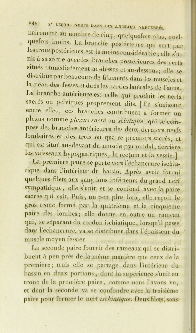 nairement au nombre do cinq, quelquefois plus, quel- quefois mo,ns. La branche poslerieure qni sort par Jestrous posterieurs est lamoins considerable; elie s’u- mt a sa sortie avec les branches postericures des nerfs situes immediatement au-dessus et au-dessous; elle se dlstribue par beaucoup de filaments dans les muscles et la peau des fesses et dans les parties laierales de l'anus. La branchc anterieure est celle qui. produit les nerfs sacres on pelviques proprement dits. [En s’unissaut entie dies, ces branches contribuent a former un plexus nomine plexus sacre ou sciatique, qui se com- pose des branches anterieures des deux derniers nerfs lombaires et des trois ou qualre premiers sacres, et qui est situe au-devant du muscle pyramidal, dcrriere, les vaisseaux hypogastriques, le rectum et la vessie.] La premiere paire se porte vers l echancrure ischia- tique dans l’inlerieur du bassin. A pres avoir fourni quelqucs filets aux ganglions inferieurs du grand nerf sympathique, elle s’unit et se ccnfond avec la paire sacree qui suit. Puis, un pen plus loin, elle rccoit le gros tronc forme par la quatrieme et la cinquieme paire des lombes; elle donne en outre un ramcau qui, se separaut du cordon ischiatique, lorsqu’il passe dans lechancrure, va se distribuer dans l epaisseur du muscle moyen fessier. La scconde paire fournit des rameaux qui se disfri- buent a pen pres dc la meme maqiere que ceux de la premiere; mais elle sc partage dans l’interieur du bassin en deux portions, dont la superieure s’unit au tronc dc la premiere paire, comme nous 1’avons vu, et dont la scconde* va se confondre avec la troisieme paire pour former le nerf ischiatique. Deux filets, sous