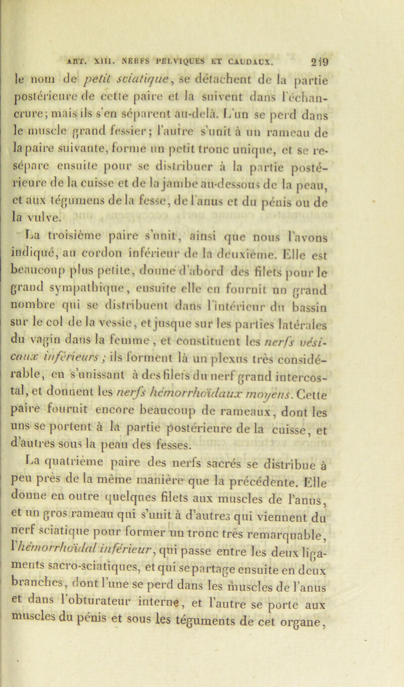 le noni de petit sciatique, se defachent dc la partie posterieure de cctie paire et la suivent dans IVchnn- crure; mais ils s’cri scparent au-dela. f Am se perd dans la paire suivante, forme nn petit tronc unique, et se re- store ensuite pour se distribuer a la partie poste- rieure de la cuisse et de la jambe au-dessous dc la peau, et aux tegumeus de la fosse, dc 1 anus et du penis on de la vulve. Ca troisieme paire s’unit, ainsi qtie nous 1’avons indique, au cordon inferieur de la deuxieme. Kile est beaucoup plus petite, donne d’nbord des filets pour le grand sympatbique, ensuite clle cn fournit nn grand nombre qni se distribuent dans Imtericur dn bassin sur le col de la vessie, et jusque sur les parties laleraies du vagin dans la femme, et constituent les nerfs ve'si- ctutx mfeneurs; ils lorment la un plexus tres conside- rable, on sunissant a des filets du nerf grand intercos- tal, et donnent les nerfs hemorrhoidaux moyens. Cette paire fournit encore beaucoup de ramenux, dont les uns se portent a la partie posterieure de la cuisse, et dautres sous la peau des fesses. Ca quatrieme paire des nerfs sacres se distribue a pen pres de la meme maniere que la precedente. Elle donne en outre quelques filets aux muscles de l’anus, et un gros rameau qni s’unit a dautres qui viennent du nerf sciatique pour former uu tronc tres remarquable, Xhemorrhoidal inferieur, qui passe entre les deux liga- ments sacro-sciatiques, etqui separtage ensuite en deux branches, dont Tune se perd dans les riiuscles de 1’anus et dans l'obturateur interne, et l’autre se porte aux muscles du penis et sous les teguments de cet organe,