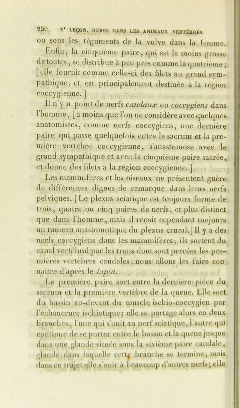 on sous les teguments de la vulve dans la fermne. Eufm, la cinq-uieme paire, qui est la moins grosse detoutes, so distribue a peu pres comrac la quatrieme ; [elle fournit comme celle-ci des filets an grand sym- pathique, et est priucipalement destinee a la region coccygienne. ] II n y a point de nerfs caudaux ou coccygiens dans 1 bom me, [ a moins que Ion ne considere avec quelques anatomistes, comme nerfs coccygiens, une derniere paire qui passe quelquefois entre le sacrum et la pre- miere verfebre coccygienne, s anastomose avec le grand sympatbique ct avec la ciuquieme paire sacree, et donne des filets a la region coccygienne. j Les mammiferes et les oiseaux ne presentent guere de differences dignes de remarque daus Jeurs nerfs pelviques. [ Le plexus sciatique est ton]ours forme de trois, quatre ou cinq paires de nerfs, et plus distinct que dans l bomme, mais il refoit cependaut toujours un rameau anastomolique du plexus crural.] 11 y a des nerfs coccygiens dans les mammiferes; ils sortent du canal vertebral par les trous dontsont percees les pre- mieres vertebres caudalcs: nous alio ns les faire con naitre d’apres le lupin. La premiere paire sort entre la derniere piece du sacrum et la premiere vertebre de la queue. Llle sort du bassiu au-devant du muscle iscbio-coccygien par reebaucrurc isebiatique; cllo so parlagc alors en deux brauebes, l ime qui s unit an nerf sciatique, l'autre qui continue de sc porter eutre le bassiu et la queue jiusque dans uue glande siluee sous la sixieme paire caudale, glande.daps laquelle celt^‘ branebe se tonnine; mais dansce liajel glle.s uuii a beaucoup da wires uerlsjelle
