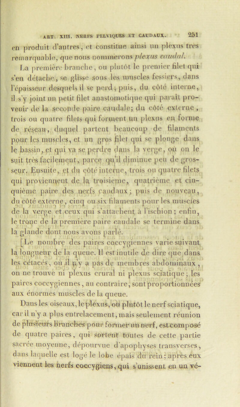 en produit d’autres, et constitute ainsi un plexus tres rernnrqunble, que nous nommerons plexus caudal. La premiere branche, ou pintot le premier filet qui s en detacbe, se glissc sous les muscles tessiers, dans lepaisseur desquels il se perd; puis, du cole interne, il s’y joint un petit filet anastomotique qui pa-rail pro- venir de la seconde paire caudale; du e6te exit rue , trois ou quatre filets qui ferment un plexus en forme de rescan, duquel partent beaucoup de filaments pour les muscles, ct un gros filet tjui sc plonge dans le bassin,et qui va se perdro d$us la verge, ou on le suit tres facilemcnt, parcq qn’il diminue pen de gros- seur. Lusnite, et tin e6te interne, trois ou quatre filets qui provienqent de la troisieme, quatrictne et cin- qujeme paire des uerfs caudaux; puis de nouveau, du c6te externe, cinq ou six filaments pour les muscles de la verge et ceux qui s’attai bent a l’ischion; enfin, le trouc de la premiere paire caudale se termine daus la glande dont nous avons parle. [Le nombre des paires coccygiennes varie suivant la longueur de la queue. II est inutile de dire que dans les cetaces , oil il u'y a pas de membres abdominaux , on ne trouve ni plexus crural ni plexus sciatique; les paires coccygiennes, an contraire, sontproportionnees aux enormes muscles de la queue. Daus les oiseaux, le plexus, on plutot le nerf sciatique, caril ny a plus entrelacement, mais seulement reunion de plitsieurs branches pour former un nerf, estcompose de quatre paires, qui sortent toutes de cette partie sacree moyeune, depourvue d’apophyses transverses, dans laquelle est loge le lobe epais du rein; apres eux viennent les nerfs coccygiens, qui s’unissent en un ve-