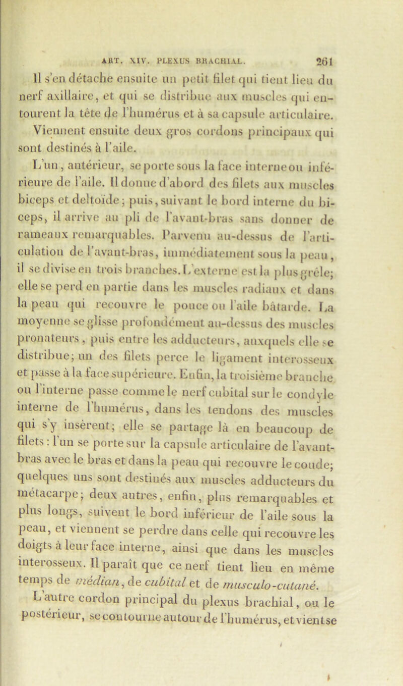 11 s’endetache ensuite un petit filet qui tieut lieu du nerf axillaire, et qui se distribuo aux muscles* qui en- tourent la tetc de l’humerus et a sa capsule articulaire. Viennent ensuite deux gros cordons principaux qui sont destines a laile. I/un, anterieur, seportesous la face iuterueou infe- rieure de 1’aile. lldonned’abord des fdets aux muscles biceps et deltoide; puis, suivant le bord interne du bi- ceps, il arrive an pli de l’avant-bras sans donner de rameaux remarquables. Parvenu au-dessus de l’arti- culation de I’avant-bras, immediatement sous la peau , il sediviseeu trois branches. Pexterne estla plusgrele; ellese peril on partie dans les muscles radiaux et dans la peau qui recouvre le ponce ou l aile batarde. Pa moyenne seglisse profondement au-dessus des muscles pronateurs . puis outre les adduetenrs, auxquels die .'e distribue; un des filets perce le ligament intcrosseux et passe a la facesuperieure. Eufin, la troisieme brancbe ou 1 interne passe commele nerf cubital sur le condyle interne de 1 humerus, dans les tendons des muscles qui sy inserent; elle se partage la en beaucoup de filets: 1 un se porte sur la capsule articulaire de l’avant- bias av ec le bras et dans la peau qui recouvre le coude; quelques tins sont destines aux muscles adducteurs du metacarpe; deux autres, enfin, plus remarquables et plus longs, suivent le bord inferieur de laile sous la peau, et vieunent se perdre dans celle qui recouvre les doigts a leur face interne, ainsi que dans les muscles interosseux. Il parait que ce nerf tieut lieu en merae temps de median, de cubital et de musculo-culane. L’autre cordon principal du plexus brachial, on le pusteiieui, secontourne autourde 1 humerus, etvientse