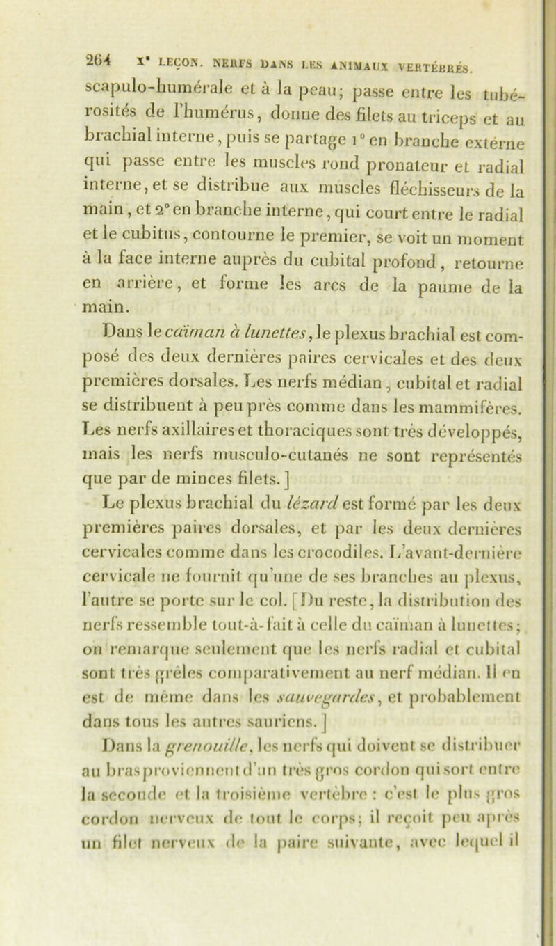 scapulo-humerale ct a ia peau; passe entre les tube- rosites de l’humerus, donne des filets au triceps et au brachial interne, puis se partage 10 cn branche externe qni passe entre les muscles rond pronateur et radial interne, et se distribue aux muscles flechisseurs de la main, et 2° en branche interne, qui court entre le radial et le cubitus, contourne le premier, se voit un moment a la face interne aupres du cubital profond, retourne en arriere, et forme les arcs de la paume de la main. Dans \ecaiman a lunettes,\e plexus brachial est com- pose des deux dernieres paires cervicales et des deux premieres dorsales. Les nerfs median , cubital et radial se distribuent a peupres comme dans les mammiferes. Les nerfs axillaires et thoraciques sont tres developpes, mais les nerfs musculo-cutanes ne sont represents que par de minces filets. ] Le plexus brachial du lizard est forme par les deux premieres paires dorsales, et par les deux dernieres cervicales comme dans les crocodiles. L’avant-derniere cervicale ne fournit qu’une de ses branches au plexus, l’aufre se porte sur le col. [Du reste, la distribution des nerfs ressemble tout-a-fait a celle du caiman a lunettes; on remarque seulernent que les nerfs radial et cubital sont ties greles comparativement au nerf median, li en est de meme dans les sauvegarcles, et probablement dans tons les ant res sauriens. ] Dans la grenouil/e, les nerfs qui doivent se distribuer au brasproviennentd’un tres gros cordon quisort. entre la seconde et. la troisieme vertebre : e’est le plus gros cordon nerveux de tout le corps; il recoit pen a pres un filet nerveux de la paire suivante, avec letjuel il