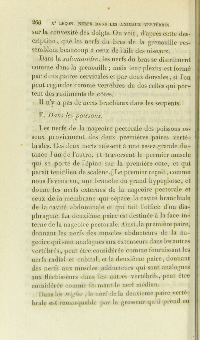 sur la convexite des doigts. On voit, d’apres cetfe des- cription , que lcs nerfs dn bras de la grenouiile res-* semblent beaucoup a cenx de l’aile des oiseaux. Dans la salarnandre, les nerfs dn bras se distribuent coniine dans la grenouiile; mais leur plexus est form6 par deux paires cervicales et par deux dorsales, si Ton peut regarder coniine vertebres du dos celles qui por- tent des rudiments de cotes. 11 n’y a pas de uerfs brachiaux dans les serpents. E. Hans les poissons. Les nerfs de la nageoire pectorale des poissons os- seux proviennent des deux premieres paires verte- brales. Ges deux nerfs naissent a une assez grande dis- tance Fun de l’autre, et traversent le premier muscle qui se porte de I’epine sur la premiere cote, et qui parait tenir lieu de scalene. [ Le premier re9oit, comme nous l avons vu, une branebe du grand bypoglosse, et donne les nerfs externes de la nageoire pcclorale et eeux de la membrane qui separe la cavite branchiate de la cavite abdominale et qui fait l’olfice d un dia- phragme. La deuxieme paire est destitute a la lace in- terne de la nageoire pectorale. Ainsi,la premiere paire, dormant les nerfs des muscles abdueteure dc la na- geoire qui soul analogues aux extenseurs dans lesautres vertebres, peut etre consuferee comme fournissant lcs nerfs radial et cubital, et la deuxieme paire, dormant des nerfs aux muscles adductours qui sont analogues aux flecbisseiirs dans les autres vertebres, peut etre considerert comme for man! le nerf median. Dans les (t itles, le nert de la deuxieme paire verte- brale est romarquabie par la grosscur qu il prend eu