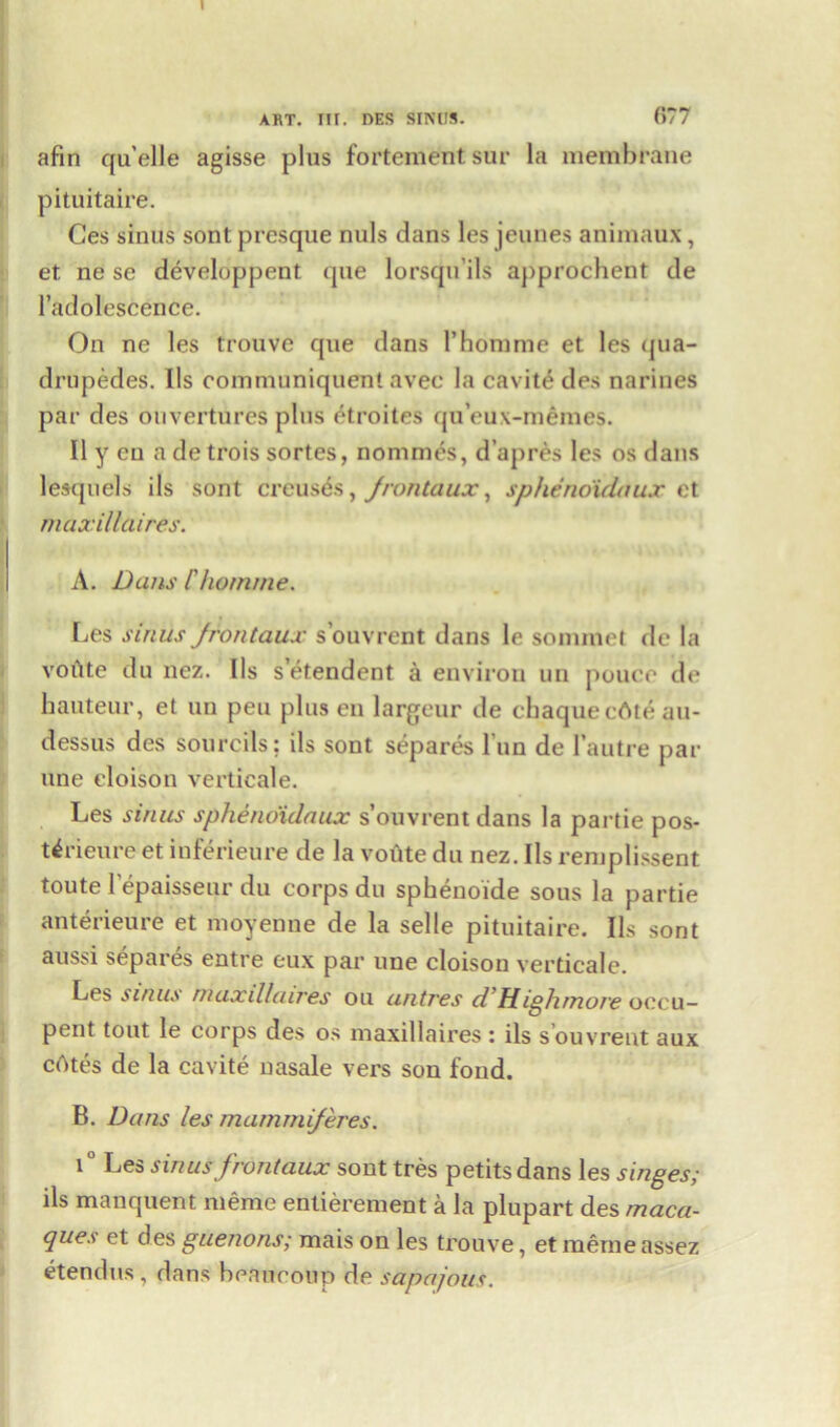 ART. III. DES SINUS. 677 afin qu’elle agisse plus fortenient sur la membrane pituitaire. Ces sinus sont presque nuls dans les jeunes animaux, et. ne se developpent que lorsqu’ils approchent de l’adolescence. On ne les trouve que dans l’homme et les qua- druples. Ils communiquent avec la cavity des narines par des ouvertures plus etroites qu’eux-memes. II y eu a de trois sortes, nommes, d’apres les os dans lesquels ils sont creuses, Jrontaux, sphenoidaux et maxillaires. A. Dans Cho/rune. Les sinus Jrontaux s’ouvrent dans le sommet de la voiite du nez. Ils s’etendent a environ un police de hauteur, et un pen plus en largeur de cbaquecftte au- dessus des sourcils; ils sont separes l un de 1’autre par une eloison verticale. Les sinus sphenoidaux s’ouvrent dans la partie pos- t^rieure et iuferieure de la voute du nez. Ils reniplissent toute 1 epaisseur du corps du sphenoide sous la partie anterieure et moyenne de la selle pituitaire. Ils sont aussi separes entre eux par une eloison verticale. Les sinus maxillawes ou antres d Highmone oecu- pent tout le corps des os maxillaires : ils s ouvrent aux cAtes de la cavite nasale vers son fond. B. Dans les mammiferes. i° Les sinus front aux sont tres petits dans les singes; ils manquent nierne entierement a la plupart des maca- ques et des guenons; mais on les trouve, et merneassez etendus, dans beaiieoup de sapa/ous.