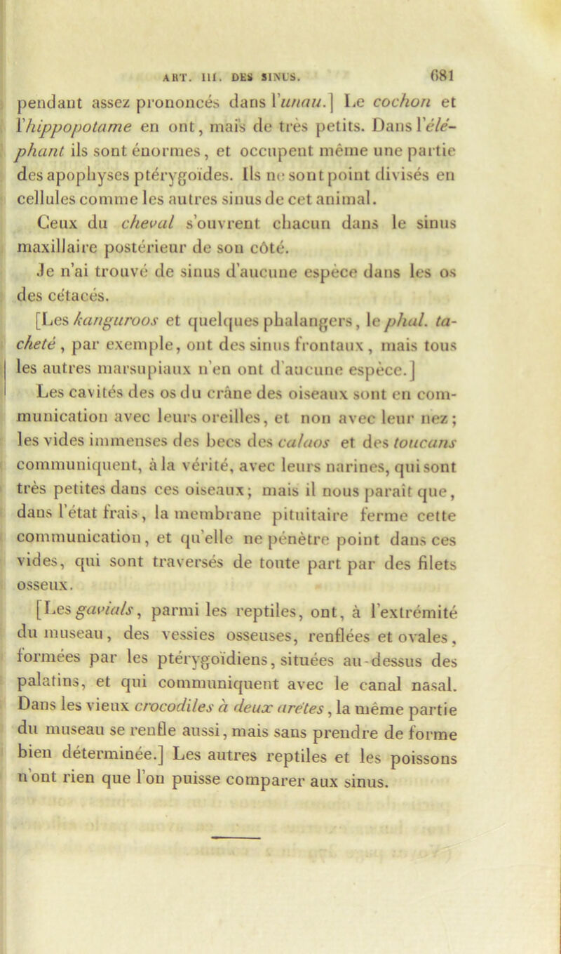 pendant assez prononces dans Xunnu.} Le cochon et 1 hippopotame en ont, mafs de ties petits. Dans Vele- phant ils sont enormes, et occupent menae une partie des apophyses pterygoides. Us nc sont point divises en cellules corame les autres sinus de cet animal. Ceux du ckeval s’ouvrent cliacun dans le sinus maxillaire posterieur de son c6te. Je n’ai trouve de sinus d’aucune espece dans les os des ce'taces. [Les kanguroos et quelques phalangers, le phal. ta- chete , par exemple, ont des sinus frontaux , mais tons les autres marsupiaux n’en ont d’aucune espece. J Les cavites des osdu crane des oiseaux sont en com- munication avec leurs oreilles, et non avec leur nez; les vides immenses des bees des calaos et des toucans communiquent, a la verite, avec leurs narines, quisont tres petites dans ces oiseaux; mais il nous parait que, daus l’etat trais, la membrane pituitaire ferine cette communication, et qu elle ne penetre point dans ces vides, qui sont traverses de toute part par des filets osseux. [Lesgavials, parmi les reptiles, ont, a l extremite du museau, des vessies osseuses, renflees et ovales , formees par les pterygoidiens, situees au-dessus des palatins, et qui communiquent avec le canal nasal. Dans les vieux crocodiles a deux aretes, la meme partie du museau se renfle aussi, mais sans prendre de forme bien determinee.] Les autres reptiles et les poissous n ont rien que Ton puisse comparer aux sinus.