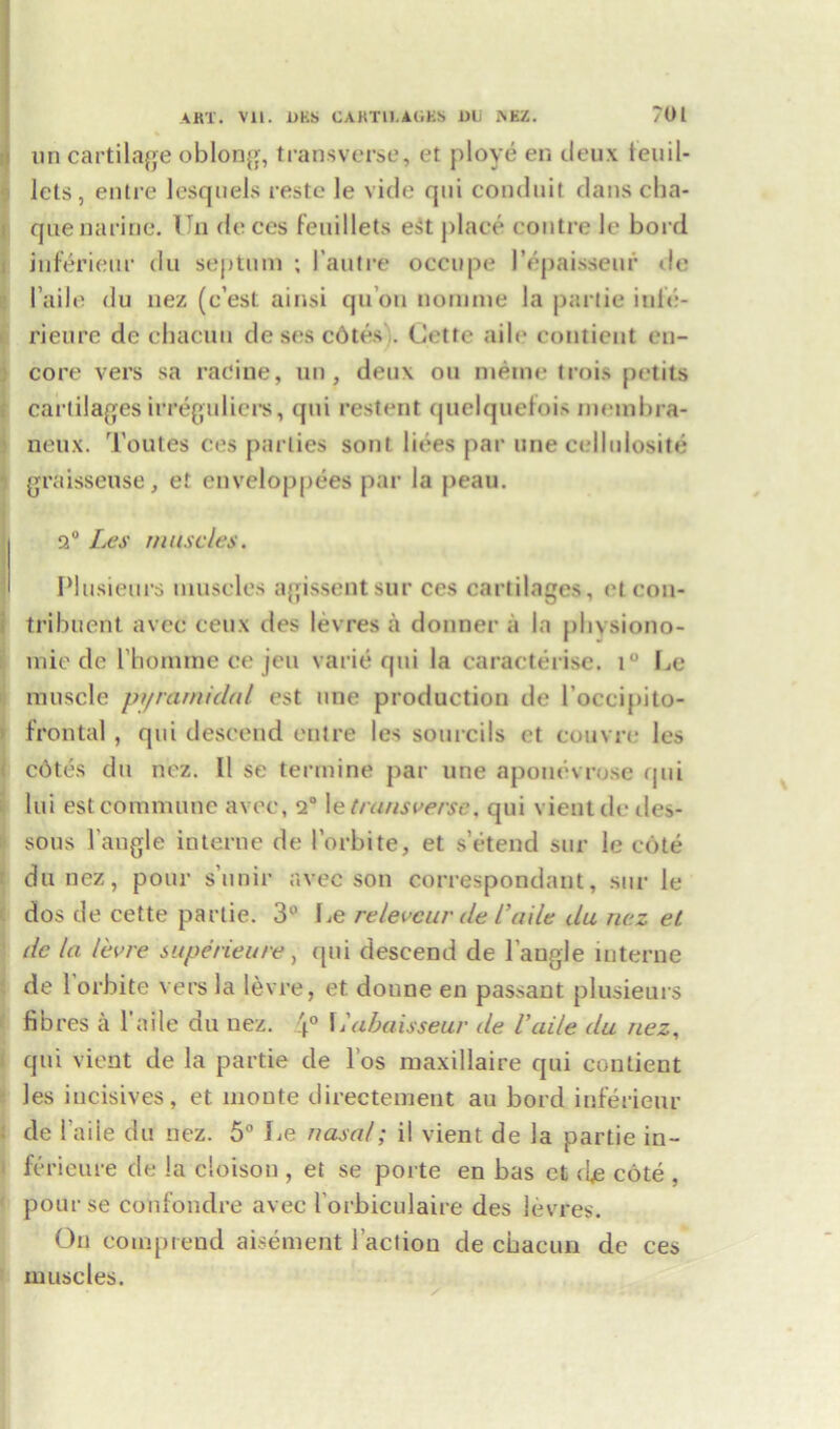 un cartilage oblong, transverse, et ploye en deux teuil- lcts, entre lesquels reste le vide qui conduit dans cha- qnenarine. Un deces feuillets eSt place contre le bord inferieur du septum ; i'autre occupe 1’epaisseuf ile l aile du nez (e’est ainsi qu’on nomine la partie iute- ri eu re de chacun desescdtesi. Cette aile contient en- core vers sa racine, un, deux on meme trois petits cartilages irregulicrs, qui restent quelquefois membra- neux. 'Louies ces parlies soul lines par une cellulosite graisseuse, et enveloppees par la peau. a0 Les muscles. Plusieurs muscles agissentsur ces cartilages, etcon- tribuent avec ceux des levres a donner a la physiono- mie de Lbomme ce jeu varie qui la caracterise. t Le muscle pyramidal est une production de l’occipito- frontal, qui descend entre les sourcils et coin re les cbtes du nez. 11 se termine par une aponevrose qui lui est commune avec, a0 le transverse. qui vientdedes- i sous bangle interne de 1’orbite, et s’etend sur le cote du nez, pour s’unir avec son correspondant, sur le dos de cette partie. 3° Le relevcur de I’aile du nez el dc la lev re superieure, qui descend de Tangle interne de 1 orbite vers la levre, et doune en passant plusieurs fibres a l'aile du nez. L'abaisseur de I’aile du nez, qui vient de la partie de l’os maxillaire qui contient les iucisives, et monte directement au bord inferieur de l’aile du nez. 5° Le nasal; il vient de la partie in- ferieure de la cloisou , et se porte en bas et dje cote , pourse confondre avec l orbiculaire des levres. On comp rend aisement Taction de chacun dc ces muscles.