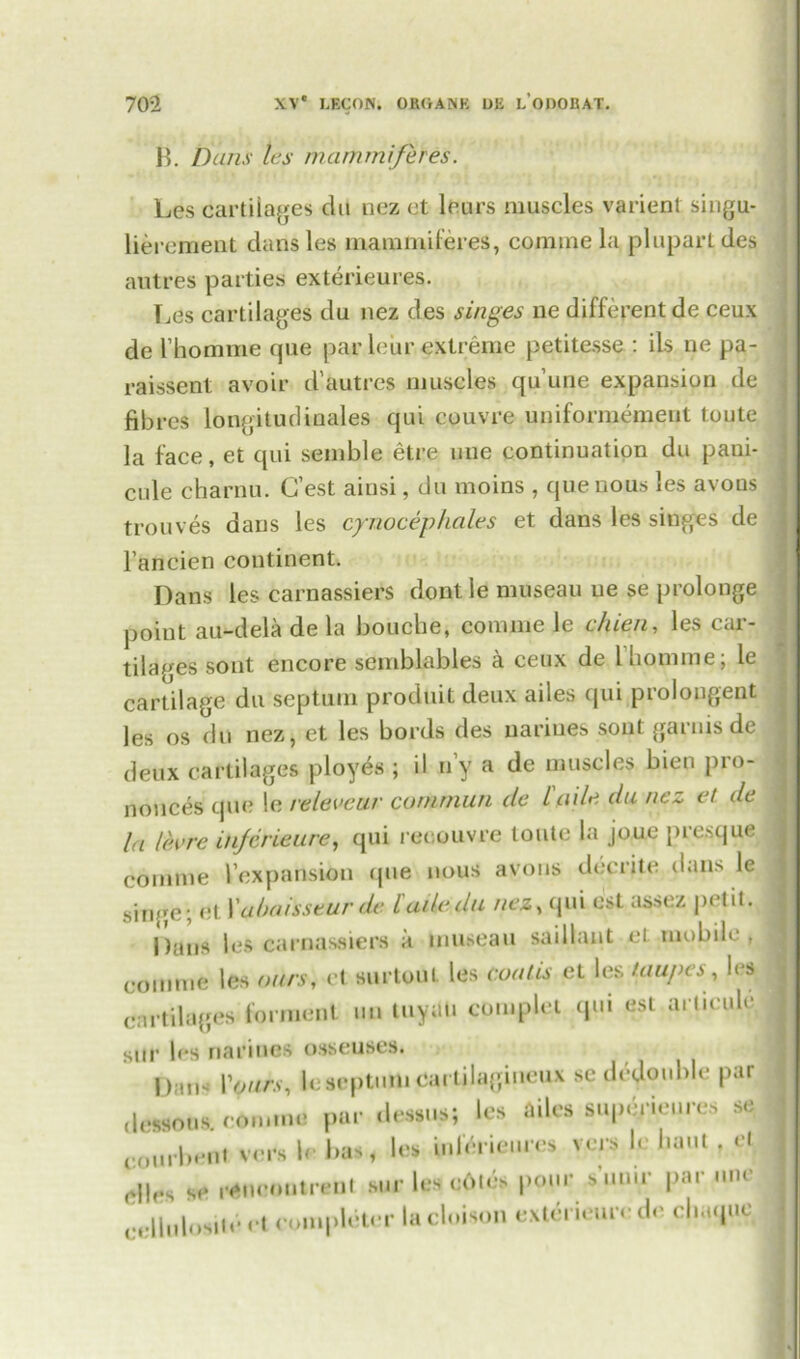 B. Duns les mam mi/e res. Les cartilages chi nez et leurs muscles varienl singu- lierement dans les mam mi feres, coniine la plupart des autres parties exterieures. Des cartilages du nez des singes ne different de ceux de l’homme que par leiir extreme petitesse : ils ne pa- raissent avoir d'autres muscles qu’une expansion de fibres longitudinales qui couvre uniformemeut toute la face, et qui semble etre une continuation du pani- cle charnu. G’est aiusi, du moins , que nous les avons trouves dans les cynocephales et dans les singes de Fancien continent. Dans les carnassiers dont le museau ne se prolonge point au-dela de la bouche, comme le chien, les car- tilages sont encore semblables a ceux de l nomine, le cartilage du septum produit deux ailes qui prolongent les os du nez, et les bords des nariues sont garnisde deux cartilages ployes ; il u’y a de muscles bien pro- nonces que le releveur conimun de Lade du nez et de la lee re in/crieure, qui reoouvre toute la joue prescjue comme Fcxpansion ipie nous avons decrite dans le singe; et Xabaissturdc lailedu nez, qui est assez petit. Dans les carnassiers a museau saillant fit mobile, comme les ours, et surtoul les coalis et les taupes, les cartilages torment im tuyau complet qui est articule siir les nariues osseuses. Dan* Xours, leseptmn ca. tilagiueux se dedoublc par dessoti*. comma par dessus; les ailes superieures se courbeni vers le bas, let uiKHeure* w le bam • el ,.||,.s se mnenutranl sur les o6le» pfliir - im par imc eeliulositt1 et completer lacloiton exterieure de cliacpie,