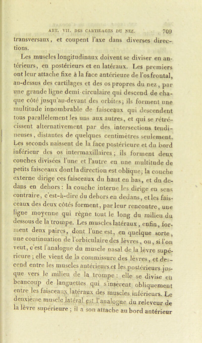 transversaux, et coupent 1’axe clans diverses direc- tions. Les muscles longitudinaux doivent se diviser en an- terieurs, en posterieurs et en lateraux. Les premiers ont leur attache fixe a la face anterieure de l’os frontal, au-dessus des cartilages et des ospropres du nez, par une grande ligne demi circulate qni descend de cha- que c6te jusqu’au-devaut des orbites; its forment une multitude innombrable de faiscequx qui descendent tous parallelement les uns aux autres, et qui se retre- cissent alternativement par des intersections tendi- neuses, distantes de quelques centimetres seuleraent. Les seconds naissent de la lace posteneure et du bord inferieur des os intermaxillaires ; ils forment deux couches divisees l’une et 1’autre en une multitude de petits faisceaux dont la direction est oblique; la couche externe dirige ces faisceaux du haut en has, et du de- dans en dehors : la couche interne les dirige eu sens contraire, c’est-ii-dire du dehors eu dedans, etles fais- ceaux des deux cotes forment, par leur rencontre, uue ligne moyenne qui regne tout le long du milieu du dessous de la trompe. Les muscles lateraux , enfiu, for- ment deux paires, dont l’une est, en quelque sorte , une continuation de l’orbiculaire des levres, ou, si l’on veut, c est 1 analogue du muscle nasal de la levre supe- rieure ; elle vient de la commissure des levres, et des- cend entre les muscles anterieurs et les posterieurs jus- que vers le milieu de la trompe : elle se divise eu bcaucoup de languettes qui s’inserent obliquement entre les faisceaux lateraux des muscles inferieurs. Le deuxieme muscle lateral gst 1’anaLogue du releveur de la levre superieure ; il a son attache an bord anterieur