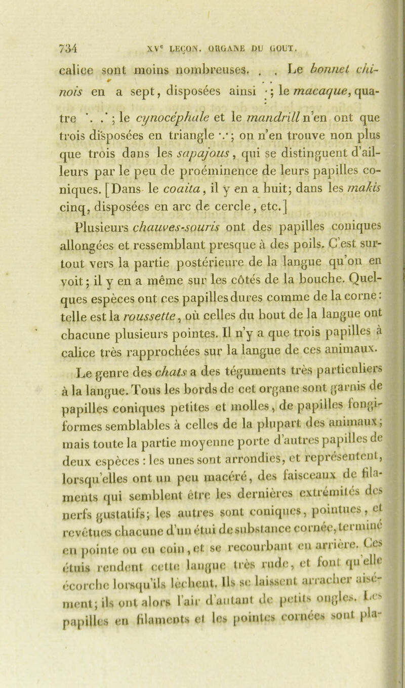 calice sont moins nombreuses. . . Le bonnet ciii- r . . no/s en a sept, disposees ainsi •; le macaque, qua- tre ; le cynocephale et le mandrilln’en ont que trois disposees en triangle v; on n’en trouve non plus que trois dans les sapajous, qui se distinguent d’ail- leurs par le peu de preeminence de leurs papilles co- niqnes. [Dans le coaita, il y en a huit; dans les makis cinq, disposees en arc de cercle, etc.] Plusieurs chauves-souris ont des papilles copiques allongees et ressemblant presque a des poils. C’est sur- tout vers la partie posterieure de la langue qu’on en voit; il y en a meme sur les c6tes de la bouche. Quel- ques especes ont ces papillesdures coniine de la corner telle est la roussette, oil celles du bout de la laogue ont chacune plusieurs pointes. Il n’y a que trois papilles a calice tres rapprochees sur la langue de ces animaux. Le genre des chats a des teguments tres particulars a la langue. Tous les bords de cet organe sont garnis tie papilles coniques petites et molles, de papilles longi- formes semblables a celles de la plnparl. des animaux, mais toute la partie moyenne porte d’autres papilles de deux especes : les unessont arrondies, et representent, lorsqu’elles ont un peu macere, des iaisceaux de bla- ments qui semblent eti’e les derniercs exLremiles des nerfs gustatifs; les autres sont coniques, pointucs, ct revetues chacune d un etui de substance cornee, lei mini en pointe ou en coin,et se recourbant en article. Les etuis rendont cetle langue ties rude, et foul quelle ecorelic lorsqu’ils leclient. Ils se laissenl arracher aise- nient; ils out alors fair duulaut de pelils ouglc.. l-, s papilles en filaments et les pointes cortices sont pla-