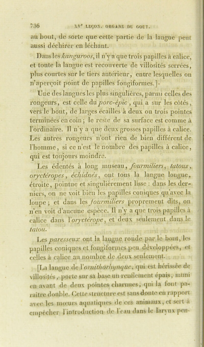 an bout, de sorte que cette partie de la langue pent aussi decbirer cn lechant. Dansles Jcanguroos, il n’y a que trois papilles a calico, et toutc la langlieest recouverte de villosites serrees, plus courtes sur le tiers anterieur, cntre lesquelles on n’aperqoit point de papilles fongiformes.] Une deslanguesles plus singulieres, parnii celles des rongeurs, est celle duporc-epic , qui a sur les cotes, Vers le bout, de larges ecailles a deux ou trois pointes terminees cn coin ; le restc de sa surface est comme a l’ordinaire. II n'y a que deux grosses papilles a calice. Les autres rongeurs n’ont rien de bien different dc l hommc, si ce n’cst le nombrc des papilles a calice, qui est toujours moindre. Les edentes a long museau, fourmiliers, talous, or/cteropes, echidna's, out tous la langue longue, etroite, pointuc et singulierement lissc : dans les der- niers, on ne voit bien les papilles coniques qu’avec la loupe; et dans \esJounndiers propremeut dits, on n’en voit d’aucnne especc. 11 n’y a que trois papilles a calice dans Xoryclcrope, ct deux seulemeut dans le talon. Lesparesseux ont la langue ronde par le bout, les papilles copiques ct fongiforincs peu developpces, et celles a calice au no mb re dc deux .sculemenl. [La langue de Yornithorht/rn/uc, qui est berissee de villosites, portc sur sa base uu lcufleincnt epais, muni cn avant dc deux pointes ebarnues, qui la lout pa- raitre double. Cette struct tire est sans doute cn rapport aver les nueurs atjualiqucs dc cos aniniaux,ct sert a empecher l intruduction tic J’rau dans le larynx pen-