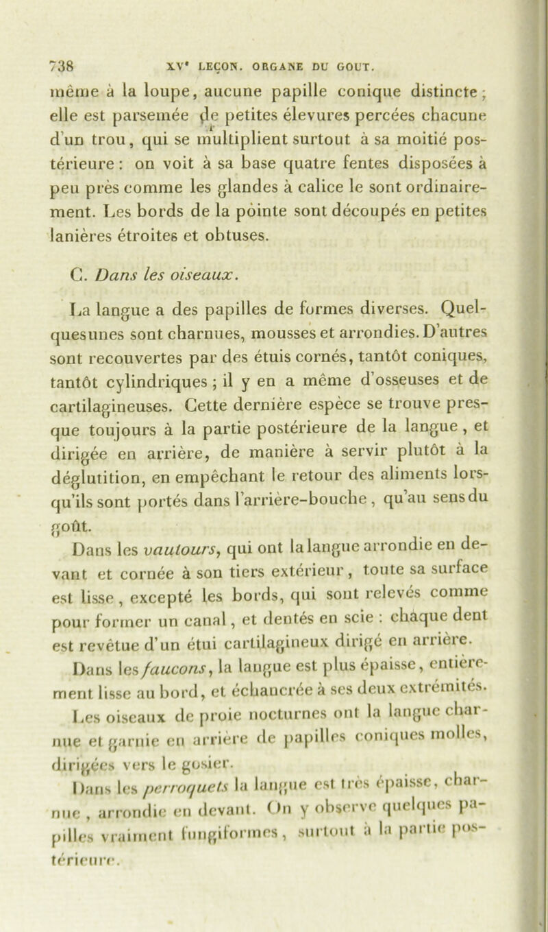 inetne a la loupe, aucune papille coriique distincte; elle est parsemee petites elevures percees chacune d un trou, qui se multiplient surtout a sa moitie pos- terieure: ou voit a sa base quatre fentes disposees a peu pres comrae les glandes a calice le sont ordinaire- ment. Les bords de la pointe sont decoupes en petites lanieres etroite6 et obtuses. G. Dans les oiseaux. La langue a des papilles de formes diverses. Quel- queslines sont charnues, mousses et arrondies. D’autres sont recouvertes par des etuis cornes, tantot coniques, tantdt cylindriques ; il y en a meme d’osseuses et de cartilagineuses. Cette derniei'e espece se trouve pres- que toujours a la partie posterieure de la langue, et dirigee en arriere, de maniere a servir plutot a la deglutition, en empechant le retour des aliments lors- qu’ils sont portes dans 1 arriere-bouche , qu au sensdu gotlt. Dans les vaulours, qui ont la langue arrondie en de- vant et cornee a son tiers exterieur, toute sa suiface est lisse, excepte les bords, qui sont relcves comme pour former un canal, et dentes en scie : chaque dent est revetue d’un etui cartilagineux dirige en anieie. Dans les faucons, la langue est plus epaisse, eniien - merit lisse au bord, et ecbaucree a ses deux cxtremites. lies oiseaux de proie nocturnes ont la langue eliai nue etgarnie en arriere de papilles coniques niollcs, dirigces vers le gosier. Dans les perroquets la langue est ires epaisse, char- nue , arrondie en devant. On y observe quelques pa- pilles vraiment fungiformes, surtout a la partie pos- terieure.