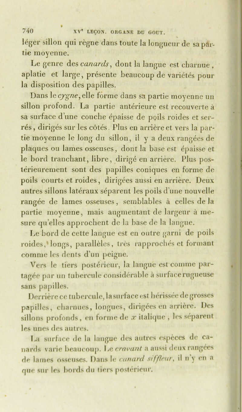 leger sillon qui regne dans toute la longueur de sa par- tie moyenne. Le genre des canards, dont la langue est cbarnue , aplatie et large, presente beaucoup de varietes pour la disposition des papilles. Dans \ecygne,e\\e forme dans sa partie moyenne un sillon profond. La partie anterieure est recouverte a sa surface d une coucbe epaisse de poils roides et ser- res, diriges sur les cotes. Plus en arriere et vers la par- tie moyenne le long du sillon, il y a deux rangees de plaques ou lames osseuses, dont la base est epaisse et le bord tranchant, libre, dirige en arriere. Plus pos- terieurement sont des papilles coniques en forme de poils courts et roides, dirigees aussi en arriere. Deux autres sillons lateraux separent les poils d une nouvelle rangee de lames osseuses, semblables a celles de la partie moyenne, mais augmentant de largeur a ine- sure qu’elles approchent de la base de la langue. Le bord de cette langue est en outre garni de poils roides,’ longs, paralleles, tres rapprocbes et formant comnie les dents d un peigne. V7ers le tiers posterieur, la langue est comine par- tagee par un tubercule considerable a surfacerugueuse sans papilles. Derrierece tubercule,lasurfaceest herissee degrosses papilles, cbarnues, longues, dirigees en arriere. Des sillons profonds, en forme de x ilalique , les separent les unes des am res. I.a surface de la langue des autres rspeces de ca- nards varie beaucoup. Le cravant a aussi deux rangees dp lames osseuses. Dans le canard siffirm, il n y en a que sur les holds du tiers posterieur.