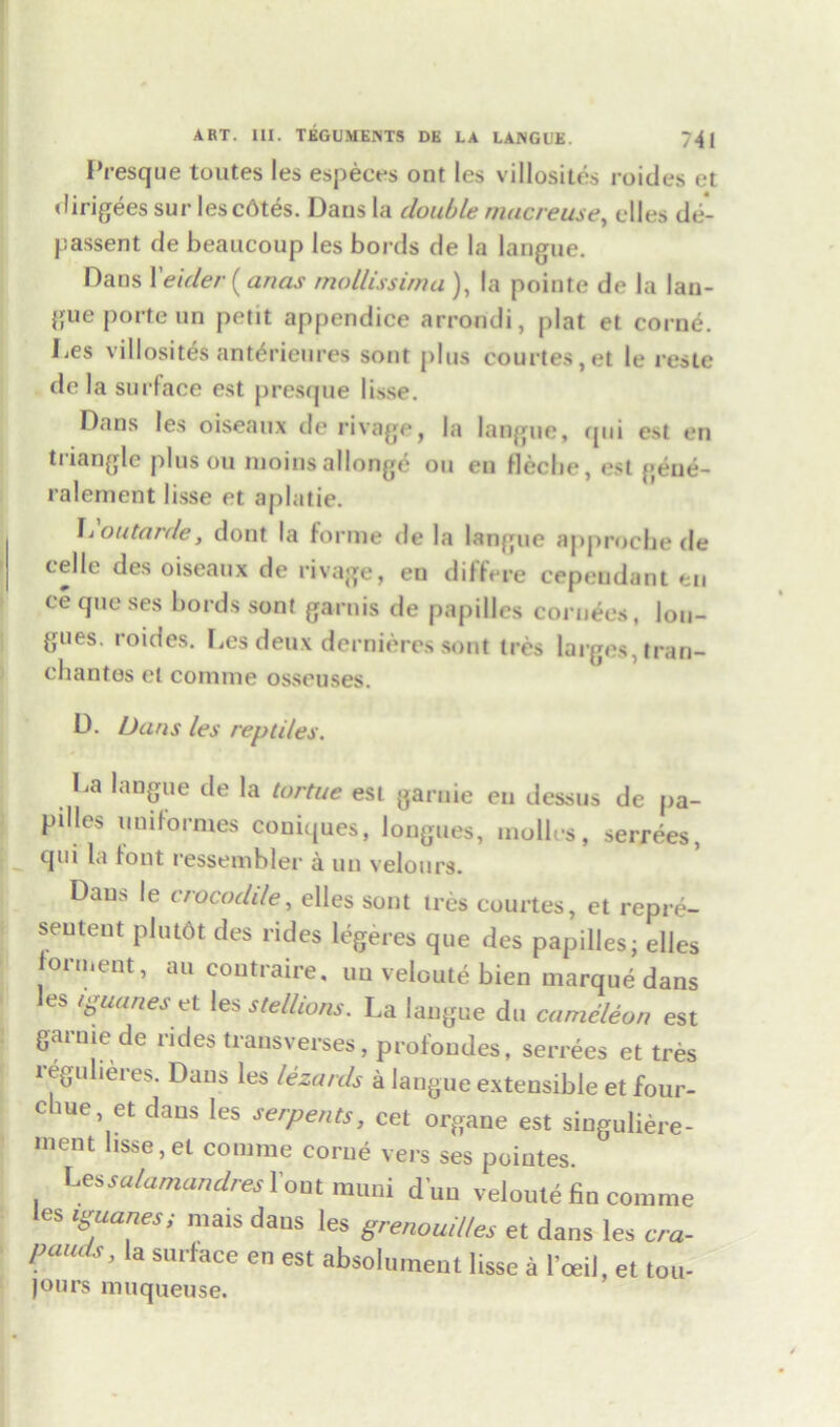 Presque toutes les especes out les villosites roides et dirigees sur lescdtes. Dans la double rnucreuse, dies de- passent de beaucoup les bords de la langue. Dans X eider [anas mollissima ), la pointe de la lau- {{ue porte un petit appendice arrondi, plat et corne. Les villosites anterieures sont plus courtes,et le reste de la surface est presque lisse. Dans les oiseaux de rivage, la langue, cjui est en triangle plus ou nioins allonge ou en fleclie, est geue- ralement lisse et aplatie. IiOutarde, dont la forme de la langue approche de celle des oiseaux de rivage, en differe cependant en cequeses bords sont garnis de papilles corners, lon- gues. roides. Les deux dernieres sont ires larges, tran- chantos et coniine osseuses. D. Duns les reptdes. La langue de la tortue est garnie eu dessus de pa- pilles imiformes coniques, longues, moUcs, serrees, qui la font ressembler a un velours. Dans le crocodile, elles sont ires courtes, et repre- seutent plut6t des rides legeres que des papilles - elles forment, an coutraire, un veloute bien marque dans les iguanes et les stellions. La langue du cameleon est garnie de rides transverses, profondes, serrees et tres regulieres. Dans les lezards a langue extensible et four- chue, et dans les serpents, cet organe est singuliere- nient lisse,et connne corue vers ses poiutes. Les salamandres l’ont muni dun veloute fin comme les iguanes; mais dans les grenoud/es et dans les c/a- pauds, la surface en est absolument lisse a l’cei], et ton- jours nuiqueuse.