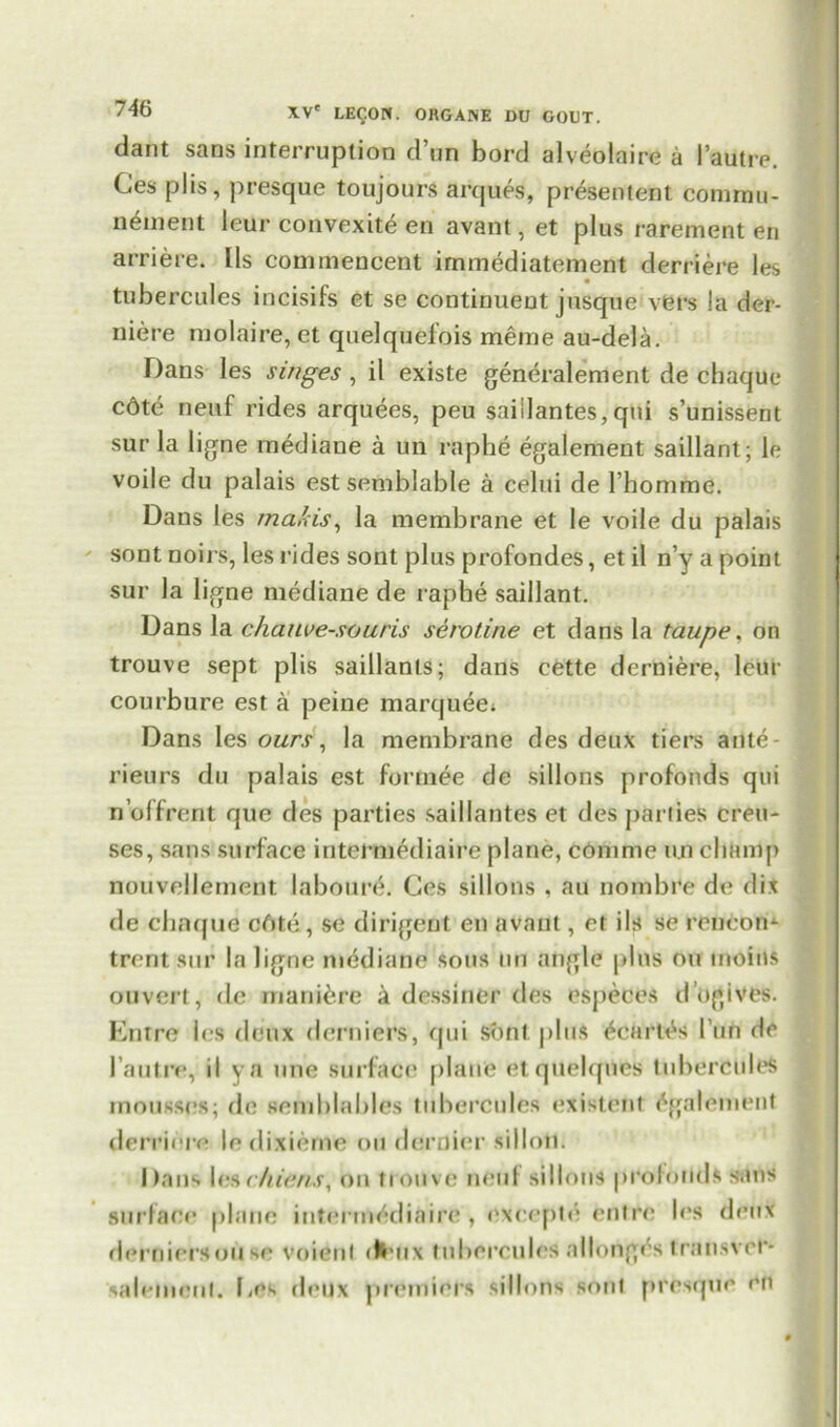 dant sans interruption d’un bord alveolaire a I’autre. Ces plis, presque toujours arques, presentent comrau- nement leur convexite en avant, et plus rarement en arriere. Us commencent irnmediatement derriere les tubercules incisifs et se continuent jusque viers la der- niere rnolaire, et quelquefois meme au-dela. Dans les singes , il existe generalement de chaque cdte neuf rides arquees, peu saiilantes,qui s’unissent sur la ligne rnediane a un raphe egalement saillant; le voile du palais estsemblable a celui de rhomme. Dans les rnakis, la membrane et le voile du palais sont noirs, les rides sont plus profondes, et il n’y a point sur la ligne rnediane de raphe saillant. Dans la chauve-souris serotine et dans la taupe. on trouve sept plis saillants; dans cette derniere, leur courbure est a peine marquee; Dans les ours, la membrane des deux tiers ante rieurs du palais est formee de sillons profonds qui n’offrent que des parties saiilantes et des parties crea- ses, sans surface intermediaire plane, comme un champ nouvellernent laboure. Ces sillons , au nombre de dix de chaque cfite , se dirigeut en avant, et ils se rencom trentsur la ligne rnediane sous un angle plus on tnoins ouvert, de maniere a dessiner des especes d’ogives. Entre les deux derniers, qui sont plus ^cart^s l’un de I’autre, il ya tine surface plane etquelqnes tubercules mousses; de semblables tubercules existent Egalement derriere le dixierne oil dernier sill oil. Dans les c hie ns, on trouve neuf sillons profonds sans surface plane intermediaire , excepte entre les deux derniersouse voienl dluix tubercules allonges transver* salenuMil. Les deux premiers sillons sont presque en