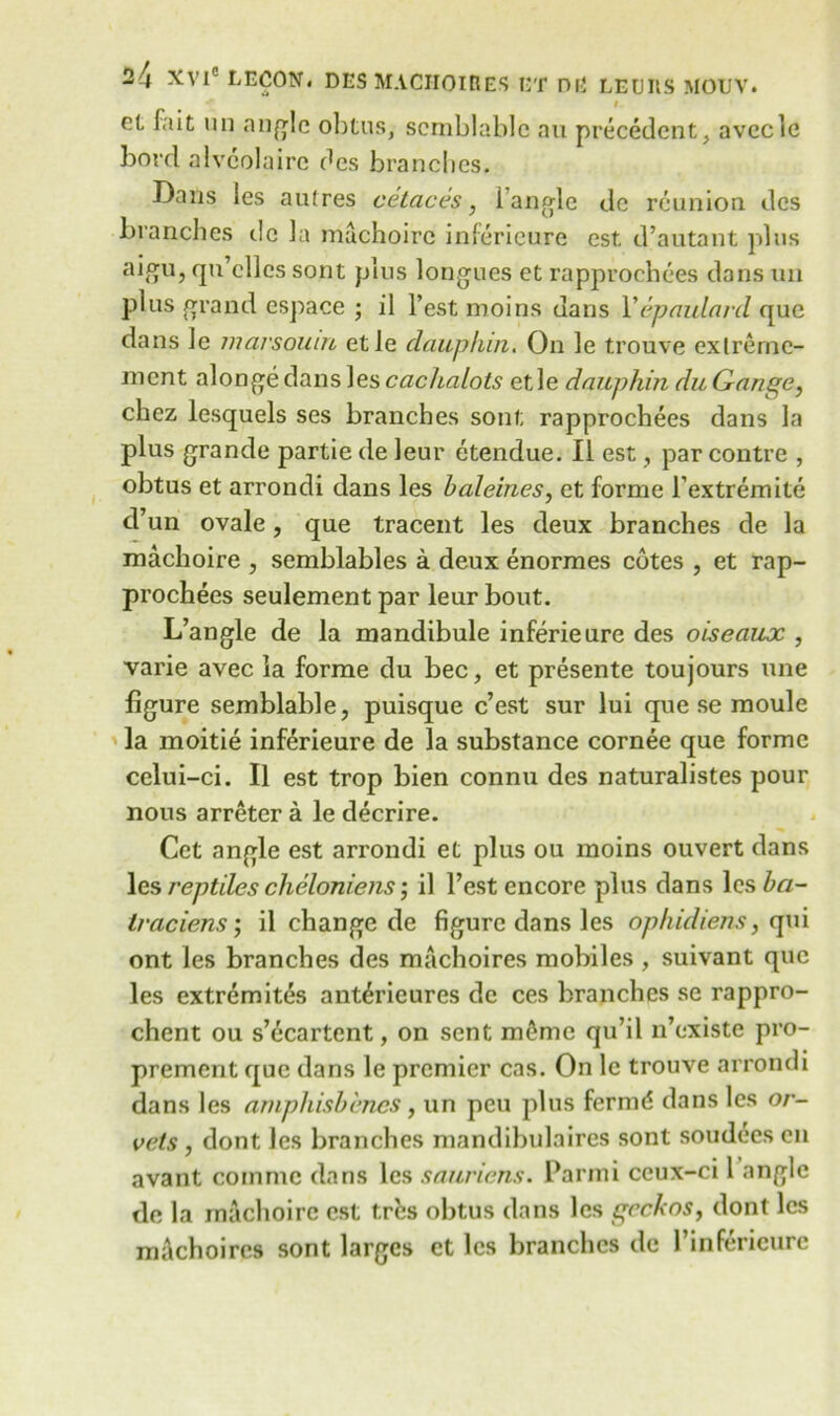 ^ I el fait tin angle obtus, scmblablc au precedent, avccle bord alveolaire des branches. Dans ies aufres cetaces, i angle dc reunion des branches dc la machoire inferieure est d’autant plus aiftu, qu’cllcs sont plus longues et rapprochees dans un plus grand espace ; il Test moins dans V epaulard que dans le marsouin etle dauphin. On le trouve exlrernc- ment alongedans lescachalots etle dauphin duGauge, chcz lesquels ses branches sont rapprochees dans la plus grande partie de leur etendue. II est, par contre , obtus et arrondi dans les baleines, et forme l’extremite d’un ovale, que tracent les deux branches de la machoire , semblables a deux enormes cotes , et rap- prochees seulement par leur bout. L’angle de la mandibule inferieure des oiseaux , varie avec la forme du bee, et presente toujours line figure semblable, puisque e’est sur lui que se moule la moitie inferieure de la substance cornee que forme celui-ci. II est trop bien connu des naturalistes pour nous arreter a le decrire. Cet angle est arrondi et plus ou moins ouvert dans les reptiles cheloniens ; il Test encore plus dans les ba- traciens; il change de figure dans les ophidiens, qui ont les branches des machoires mobiles , suivant que les extremites ant^ricures dc ces branches se rappro- chent ou s’ecartcnt, on sent m&me qu’il n’existe pro- prement que dans le premier cas. On le trouve arrondi dans les amphisb'enes, un peu plus fermd dans les oc- tets , dont les branches mandibulaires sont soudees en avant coinmc dans les sauriens. Parmi ceux-ci 1 angle de la machoire est t.res obtus dans les geckos, dont les mAchoircs sont larges et les branches de 1’inferieurc