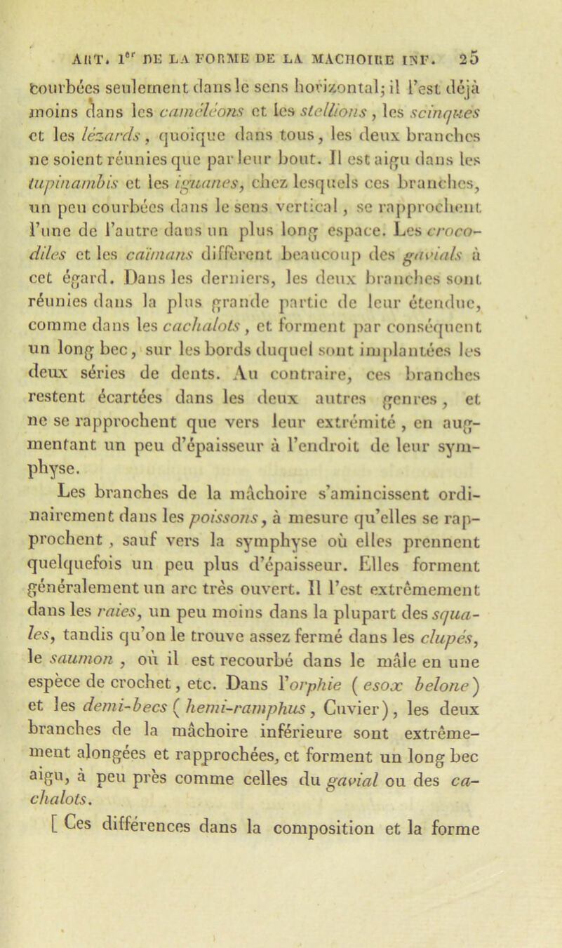 fcourbees settlement clanslc sens horizontal; il Test tleja jnoins dans les cameleons et les stellions , les scinques ct les lezards, quoique dans tous, les deux branches ne soient reunies que parleur bout. II estaigu dans les tupinambis ct les ipannes, chez lesquels ces branches, on pen courbecs dans le sens vertical, sc rapprocheut Tune de i’autre dans un plus long espace. Les croco- diles ct les caimans different beaucoup des ga vials a cct egard. Dans les derniers, les deux branches sont reunies dans la plus grande partic de leur etendue, comme dans les cachalots, et forment j>ar consequent un long bee, sur les bords duquel sont implantees les deux series de dents. An contraire, ces branches restent ^cartecs dans les deux autres genres, et ne se rapprochent que vers leur extremite , en aug- menfant un peu d’epaisseur a l’endroit de leur sym- physe. Les branches de la machoire s’amincissent ordi- nairement dans les poissons, a inesurc qu’elles sc rap- prochent , sauf vers la symphyse oil el les prennent quelquefois un peu plus d’epaisseur. Elies forment generalement un arc tres ouvert. 11 Test extremement dans les raies, un peu moins dans la plupart des sfjua- les, tandis cju on le trouve assez ferme dans les clupes, le saumon , ou il est recourbe dans le male en une espece de crochet, etc. Dans Yorphie ( esox belone) et les demi-becs ( hemi-ramphus, Cuvier), les deux branches de la machoire inferieure sont extreme- ment alongees et rapprochees, et forment un long bee aigu, a peu pres comme celles du gavial ou des ca- chalots. [ Ces differences dans la composition et la forme