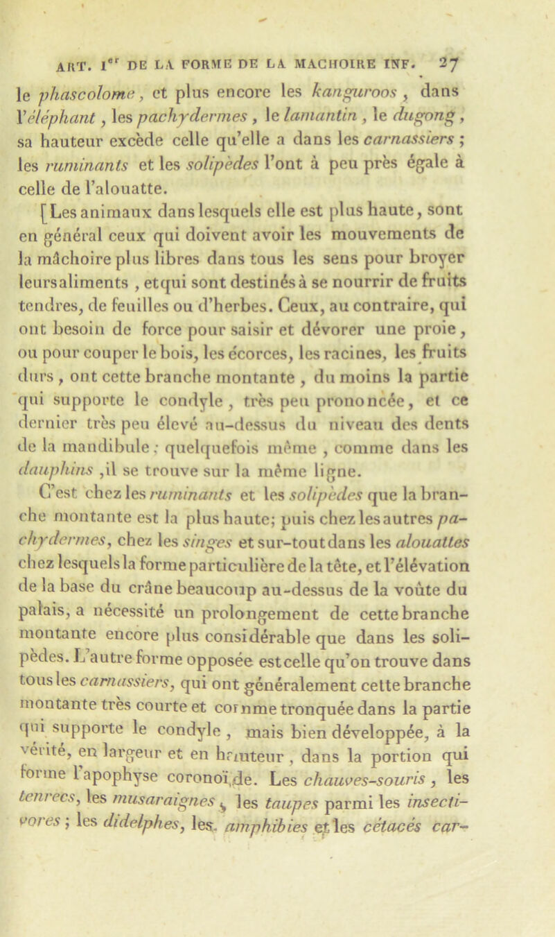 lc phascolome, et plas encore les kangaroos , dans X elephant, les p achy demies , le lamatitin , le dugong, sa hauteur excede celle qu’elle a dans les carnassiers ; les ruminants et les solip'edes l’ont a peu pres egale a celle de I’alouatte. [Les aniraaux dans lesquels elle est plus haute, sont en general ceux qui doivent avoir les mouvements de la mflchoire plus libres dans tous les sens pour broyer leursaliments , etqui sont destines a se nourrir de fruits tendres, de feuilles ou d’herbes. Ceux, au contraire, qui out besoin de force pour saisir et d^vorer une proie , ou pour couper le bois, les ecorces, les racines, les fruits durs , out cette branche montante , du moins la partie qui supporte le condyle, fees peu prononc^e, et ce dernier tres peu eleve au-dessus du niveau des dents de la inandibule; quelquefois ineme , comme dans les dauphins ,il se trouve sur la ni^me ligne. (Test chez les ruminants et les solip 'edes que la bran- che montante est la plus haute; puis chez les autres pa- chy demies, chez les singes etsur-toutdans les aloualt.es chez lesquels la forme particuliere de la t&te, et l’el^vation de la base du crSne beaucoup au-dessus de la voute du palais, a necessite un prolongement de cette branche montante encore plus considerable que dans les soli- pedes. L autre forme opposee est celle qu’on trouve dans tous les carnassiers, qui ont generalement cette branche montante tres courte et cornme tronquee dans la partie qui supporte le condyle , mais bien developpee, a la v^111^» en largeur et en hrmteur , dans la portion qui foi me l apophyse coronoi de. Les chauves-souris , les ten/ecs, les musaraignes^ les taupes parmi les insecti- roies; les didelphes, les. amphibies etles cetaces car-