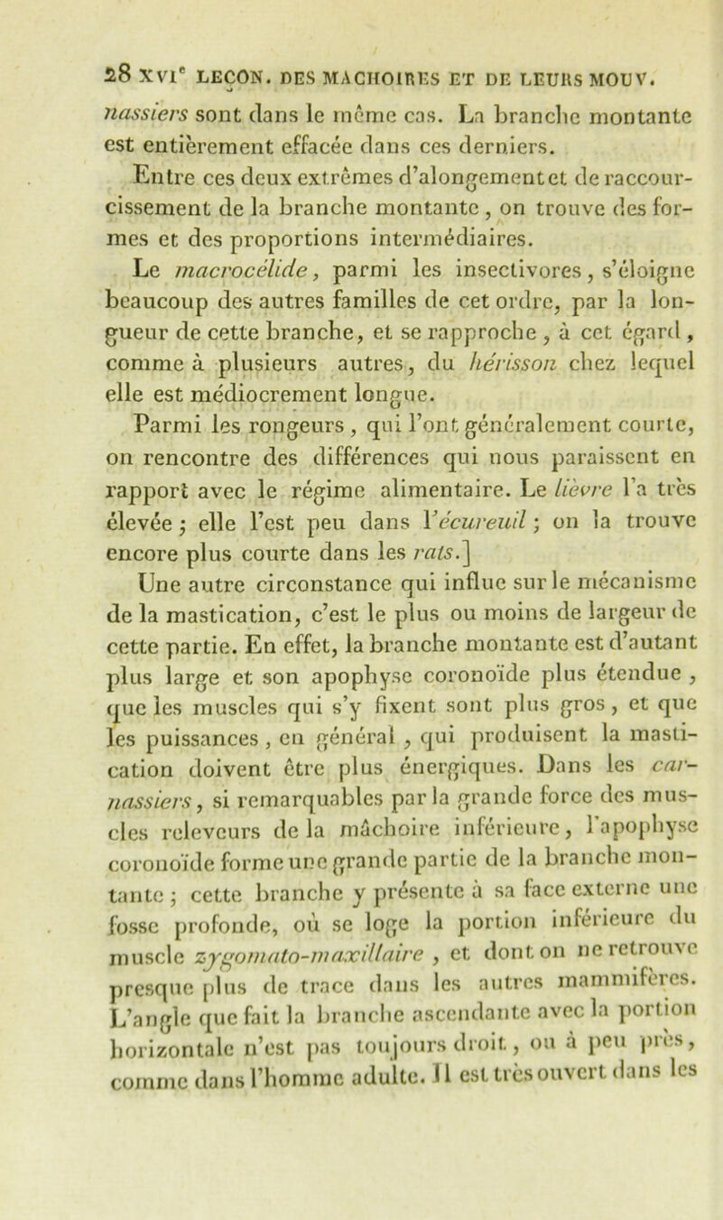 •j nassiers sont dans lc incme cas. La branclic montante est entierement effacee dans ces derniers. Entre ces deux ext remes d’alongementet de raccour- cissement de la branche montante , on trouve des for- mes et des proportions interm£diaires. Le macrocelide, parmi lcs insectivores, s’eloigne beaucoup des autres families de cet ordrc, par la lon- gueur de cette branche, et se rapproche , a cet egard, conime a plusieurs autres, du he'risson chez lequel elle est mediocrement longue. Parmi les rongeurs , qui Font generalement couric, on rencontre des differences qui nous paraisscnt en rapport avec le regime alimentaire. Le Lievre l a ties clevee j elle l’est peu dans Yecuveuil; on la trouve encore plus courte dans les raisY\ Une autre circonstance qui indue surle mecanismc de la mastication, e’est le plus ou moins de largeur de cette partie. En effet, la branche montante est d’autant plus large et son apophysc coronoide plus etendue , que les muscles qui s’y fixent sont plus gros , et que les puissances , en general , qui produisent la masti- cation doivent etre plus energiques. Dans les car- nassiers, si remarquables par la grande force des mus- cles relcvcurs de la m&cboire infericure, l’apophyse coronoide forme une grande partie de la branche mon- tante ; cette branche y presente a sa lace externe une fosse profonde, ou se loge la portion infericure du muscle zygomato-maxilldire , et donton ncrctrome presque plus de trace dans lcs autres mammifercs. L’angle que fait la branche ascendantc avec la portion horizontale n’est pas toujours droit, ou a peu pics, commc dansrhomme adulte. II esttresouvert dans les