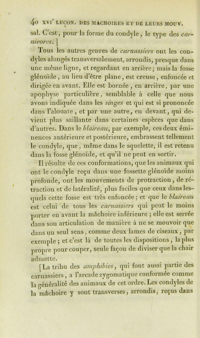 o sa!. C/est, pour Ja forme du condyle, le type des car- nivores. ] Tous les autres genres de carnassiers ont les con- dyles alonges transversalement, arrondis, presque dans unc meine ligne, et regardant en arriere; mais la fosse glenoide, au lieu d’etre plane, est crcuse, enfoncec et dirigee en avant. Elle est bornee, en arriere, par une apophyse particuliere, semblable a celle que nous avons indiquee dans les singes et qui est si prononcee dans l’alouale , et par une autre, en devant, qui de- vient plus saillante dans certaines especes que dans d’autres. Dans le blaireau, par exemple, cesdeux emi- nences anterieure et posterieure, embrassent tellement le condyle, quo, meme dans le squelette, il est retenu dans la fosse glenoide, et qu’il ne peut en sortir. II resulte de ces conformations, que les animaux qui ont le condyle regu dans une fossette glenoide moins profonde, ont les mouvements de protraction, de re- traction et de lateralite, plus faciles que ceux dansles- quels cette fosse est tres enfoncee; et que le blaireau est celui de tous les carnassiers qui peut le moins porter en avant la mAchoire inferieurc ; elle est serree dans son articulation de maniere a ne se mouvoir que dans un scul sens, comme deux lames de ciseaux, par exemple ; et; c’cst la de toutes les dispositions, la plus proprc pour couper, seule fa$on de diviser que la chair admette. [La tribu des amphibies, qui font aussi partic des carnassiers, a l’arcadezjgomatiquc conform^e comme la gen6ralit6 des animaux de cct ordre. Les condyles de la mdchoirc y sont transverses, arrondis, re^us dans