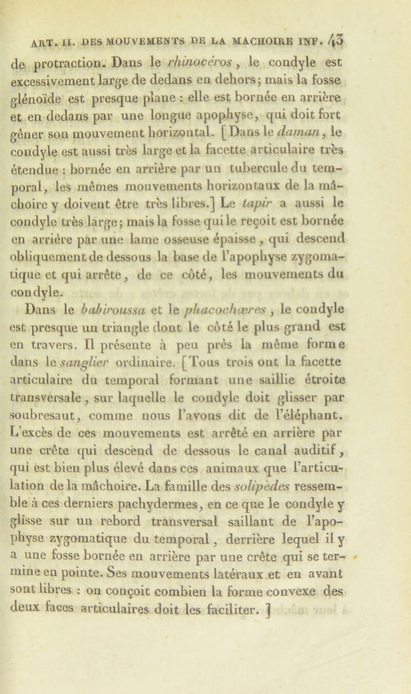 cle protraction. Dans le rhinoceros, ie condyle est excessivement large de dedans en dehors; mais la fosse glenoide est presque plane : elle est bornee en arriere et en dedans par une longue apophyse, qui doit fort gener sou mouvement horizontal. [Dans le daman, le condyle est aussi tres large et la facette articulaire ti es etendue : bornee en arriere par un tubercule du tem- poral, les memes mouyements horizontaux de la md- choirc y doivent 6tre tres libres.] Le tapir a aussi le condyle trks large; mais la fosse qui le re^oit est bornee en arriere par une lame osseuse 4paisse , qui descend obliquementde dessous la base de l’apophyse zygoma- tique et qui arrftte, de ce cot6, les mouvenieuts du condyle. Dans le bab'iroussa et le phacoch eres , le condyle est presque un triangle dout le cote le plus grand est en t,ravers. II presente a peu pres la m<kne forme dans [a sang Her ordinaire. [Tous trois ont la facette articulaire du temporal formant une saillie etroite transversale, sur laquelle le condyle doit glisser par soubresaut, comrae nous l’avons dit de l’elephant. L exces de ces mouvements est arr^te en arriere par une cr6te qui descend de dessous le canal auditif, qui est bieu plus eleve dans ces auimaux que l articu- lation dela mdchoire. La famille des solipedes ressem- ble a ces derniers pachydermes, en ce que le condyle y glisse sur un rebord transversal saillant de l’apo- physe zygomatique du temporal, derriere lequel il y a une fosse bornee en arriere par une Crete qui se ter- mine en pointe. Ses mouvements lateraux et en avant sont libres : on consoit combien la forme convexe des deux faces articulaires doit les faciliter. ]