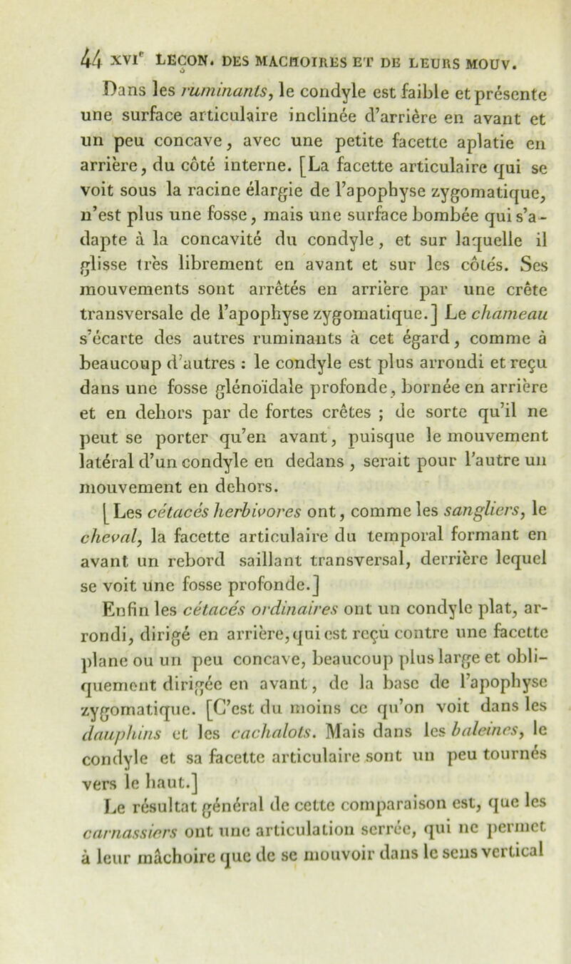 O Dans les ruminants, le condyle est faible et presente une surface articulaire inclinee d’arri^re en avant et un peu concave, avec une petite facette aplatie en arriere, du cote interne. [La facette articulaire qui se voit sous la racine elargie de l’apopbyse zygomatique, n’est plus une fosse, mais une surface bombee qui s’a- dapte a la concavite du condyle, et sur laquelle il glisse tres librement en avant et sur les cote's. Scs mouvements sont arretes en arriere par une Crete transversale de 1’apophyse zygomatique.] Lechameau s’ecarte dcs autres ruminants a cet egard, commc a beaucoup d’autres : le condyle est plus arrondi etre5u dans une fosse glenoidale profonde, bornee en arriere et en dehors par de fortes cretes ; de sorte qu’il ne peut se porter qu’en avant, puisque le mouvement lateral d’un condyle en dedans , serait pour l’autre un mouvement en dehors. [ Les cetaces herbivores ont, comme les sangUers, le chcval, la facette articulaire du temporal formant en avant. un rebord saillant transversal, derrierc lequel se voit une fosse profonde.J Enfin les cetaces ordinaires ont un condyle plat, ar- rondi, dirige en arriere, qui est rc$u contre une facette plane ou un peu concave, beaucoup plus large et obli— quemont dirigec en avant, de la base de Fapophyse zygomatique. [C’est du moins ce qu’on voit dans les dauphins et les cachalots. Mais dans les baleinesy le condyle et sa facette articulaire sont un peu tournds vers le haut.] Le resultat g6n<iral de cettc comparaison est, que les carnassiers ont une articulation scrrec, qui 11c permet a leur machoirc quc dc sc mouvoir dans leseusvcitical