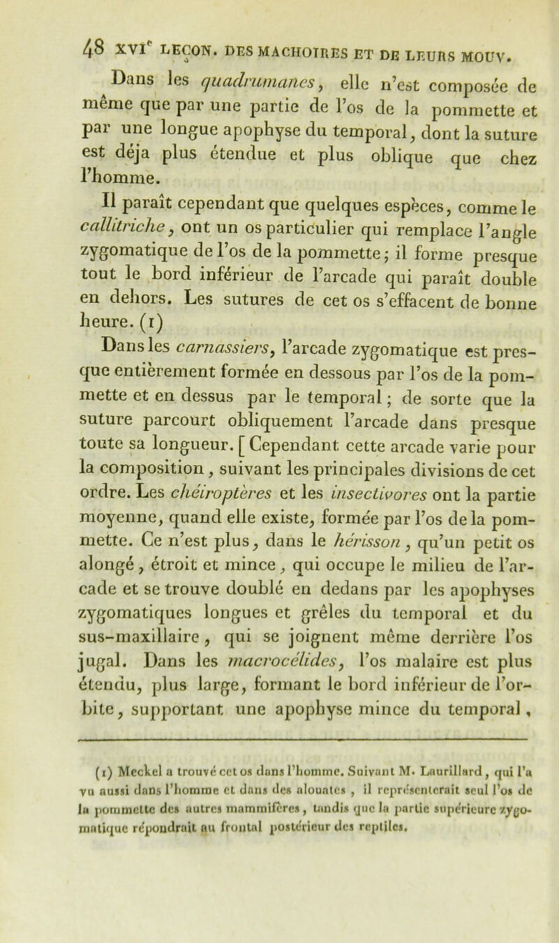 Dans lcs quadrumanes, elle n’est coniposee de meme que par une partic de l’os de la pommette et par une longue apophyse du temporal, dont la suture est deja plus etendue et plus oblique que chez Fhomme. II parait cependant que quelques especes, commele callilriche, ont un os particular qui remplace l’angle de 1 os de la pommette j il forme presque tout le bord inferieur de l’arcade qui parait double en dehors. Les sutures de cet os s’effacent de bonne heme, (i) Dans les carnassiers, Farcade zygomatique est pres- que entierement formee en dessous par l’os de la pom- mette et en dessus par le temporal; de sorte que la suture parcourt obliquement l’arcade dans presque toute sa longueur. [ Cependant cette arcade varie pour la composition, suivant les principals divisions de cet ordre. Les cheiropteres et les insectivores ont la partie moyenne, quand elle existe, formee par l’os dela pom- mette. Ce n’est plus, dans le herisson, qu’un petit os alonge, etroit et mince , qui occupe le milieu de l’ar- cade et se trouve double en dedans par les apophyses zygomatiques longues et greles du temporal et du sus-maxillaire, qui se joignent meme derricre l’os jugal. Dans les rnacvocelides, l’os malaire est plus etendu, plus large, formant le bord inferieur de For- bite, supportant une apophyse mince du temporal, (i) Meckel a trouve cet os clans l’lionime. Suivant M. Laurillard, qui l’a vu aussi clans l’liomme cl dans des alouates , il rcpriiscnlcrait seul l’os de la pommette des autres mammifercs , tnndis cjuc la partic supcfricurc v.ygo- mutique repondrait au frontal posterieur des reptiles.