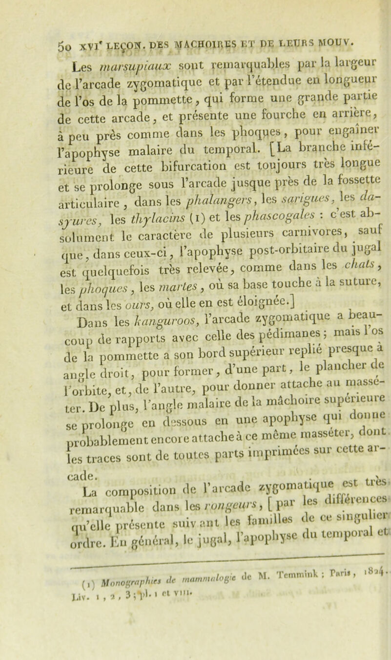 Les marsupiaux sont reinarquables par la largeur de l’arcade zygomatiquc et par Fetendue en longueur de l’os de la pommette, qui forme une grande partie de cette arcade, et presente une fourche en arriere, a peu pres comme dans les phoques, pour engainer Fapophyse malaire du temporal. [La branche mie- rieure de cette bifurcation est toujours tres longue et se prolonge sous l’arcade jusque pres de la fossette artieulaire , dans les phalangers, les s ungues, les dci- srures, les thylacins (i) et les phascogales : c’est ab- solument le caractere de plusieurs carnivores, sau que , dans ceux-ci, l’apopliyse post-orbitaire du jugal est quelqucfois tres relevee, comme dans les dials, les pJibques , les martes , ou sa base touche a la suture, et dans les ours, on elle en est eloignee.] Dans les I<anguroos, i’arcade zygomatique a beau- coup de rapports avec celle des pedimanes; mars 1 os de la pommette a son bord superieur rephe presque a an Je droit, pour former, d’une part, le plancher de For bite, et, de l’autre, pour donner attache au masse- ter. De plus, l’angle malaire de la machoire supeneure se prolonge en dessous en une apophyse qm donue probablement encore attache ace meme masseterc on les traces sont de toutes parts imprimccs sur cette ar- cade. . . t La composition tie 1’arcade WgomaUqu« eat tres, rrmarnunble dans les rmgeun, [ par les differences, qu’cllc prdsente suivant les families de ce smSu ,e ordre. Kn giutal, Ic jugal, 1’apopl.yse du temporal et 0 Monographic! de * «• T~n.inliP.ri., (0