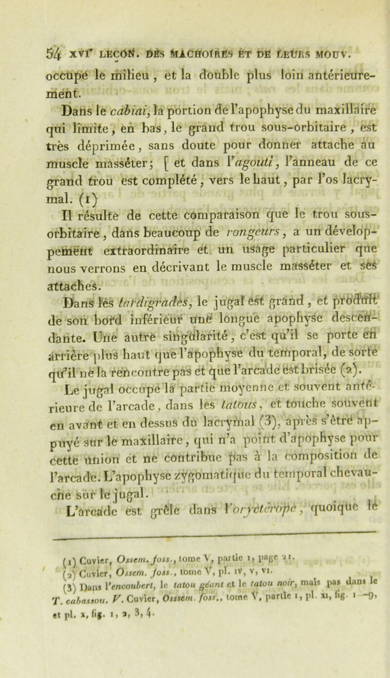 occupe le milieu , et la double plus loin anterieure- ment. Dans le cabiai, la portion de l’apophyse du maxillaire qui Finite, en bas,le grand trou sous-orbitaire , est tres deprimee, sans doute pour donner attache au muscle mass£ter; [ et dans 1’agouti,, Fanneau de ce grand trou est complete , vers lebaut, par Fos lacry- mal. (i) II resulte de cette comparaison que le trou sous- orbitaire , dans beaucoup de rongeurs, a un develop- pement extraordinaire et un usage particulier que nous verrons en decrivant le muscle mass^ter et ses attaches. Dans les larchgrades, le jugal est grand , et prod'tffi de son hol'd inferieur une longue apophyse descen- dante. Une autre singiilarite, c’est qu’il se porte en arriere plus haut queFapophyse du temporal, de sorte qu’il ne la rencontre pas et que Farcade est brisee (o). Le jugal occupe la partie moycnne et souvent anttf- rieure de l’arcade, dans les talons, et touche souvent en avafnt et en dessus du lacrymal (3), a pres s’thre ap- puye stir le maxillaire, qui n’a point d’apophyse pour cette Union et ne contribue pas a la composition de Farcade. L’apophyse zygomatique du temporal chevau- che sur le jugal. L’arcadc est grfile dans Yo/ydterope ^ ([xioiquc. le (i) Cuvier, Ossein. Joss., tome V, panic i> patje pp (a) Cuvier, Ossem. Joss., tome V, pi. iV, v, vi. (3) Dani 1 ’tnooubert, le talou ycanl et le. talon noir, mais pa* dan* le T. cabas sou. V. Cuvier, Osssetn Joss., tome V, parllc i, pi. xi, fig- ' “9* et pi. x, fig- i* x, 3, 4.