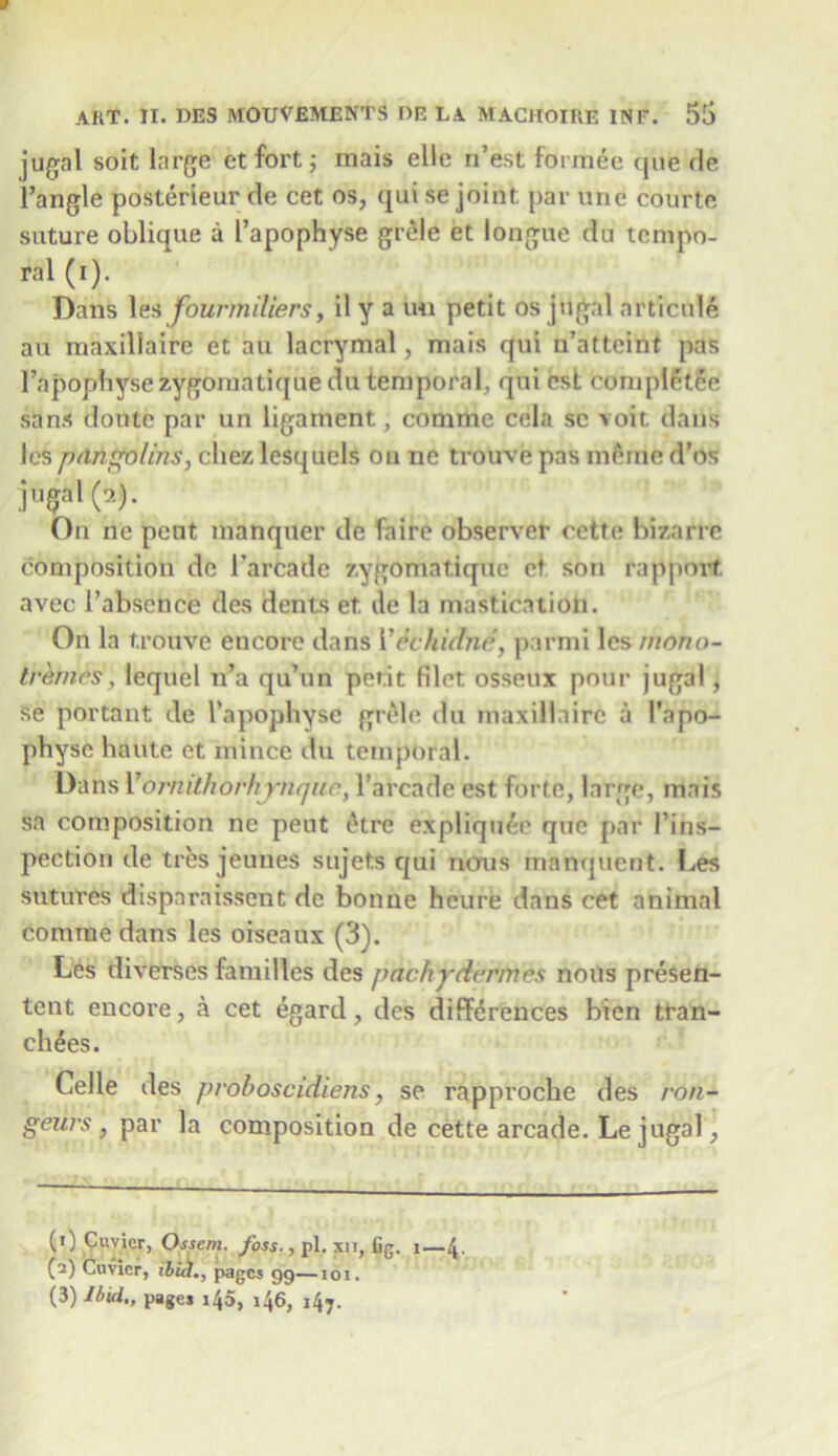 jugal soit large ct fort; mais elle n’est forraee <jiie rle l’angle posterieur de cet os, qui se joint par une courte suture oblique a I’apophyse grele et longue du tempo- ral (i). Dans les fourmiliers, il y a uu petit os jugal articule all maxillaire et au lacrymal, mais qui n’atteint pas Fapophysezygomatiquedu temporal, qui cst completce sans doute par un ligament, comme cela sc voit dans les pangolins, cliez lesquels on ne trouve pas inline d’os jugal (2). On ne pent manquer de faire observer cette bizarre composition de l’arcade zygomatiqde el son rapport avec i’abscnce des dents et de la mastication. On la trouve encore dans Veckidnd, parmi les mono- tremes, lequel n’a qu’un petit filet osseux pour jugal, se portant de Fapophyse grele du maxillaire a I’apo- physe haute et mince du temporal. Dans I’ornithorhjrnquc, l’arcade est forte, large, mais sa composition ne pent 6tre expliquee que par I’ins- pection de tres jeunes sujets qui nous inanquent. Les sutures dispnraissent de bonne heure dans cet animal comme dans les oiseaux (3). Les diverses families des pachpdermes nous presen- tent encore, a cet egard, des differences bien tran- ehees. Celle des proboscidiens, se rapproche des ron- geurs , par la composition de cette arcade. Le jugal, (1) Cuvier, Ossem. foss., pi. xn, fig. i—4 (1 2 3) Cuvier, ibid., pages 99—161. (3) Ibid., pages 145, 146, i47.