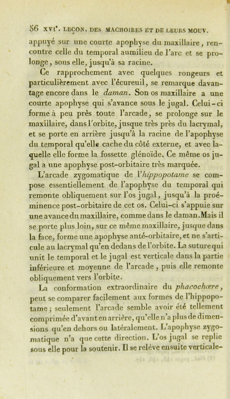 appuye sur une courtc apophysc du maxillaire, ren- contre cede du temporal aumilieu dc l’arc et se pro- longc, sous elle, jusqu’a sa racine. Ce rapprochement avec quelques rongeurs et particulikrement avec I’ecureuil, se remarque davan- tage encore dans le daman. Son os maxillaire a une courte apophyse qui s’avance sous le jugal. Celui-ci forme a peu pres touts l’arcade, se prolonge sur le maxillaire, dans borbite, j usque tres pres du lacrymal, et se porte en arriere jusqu’a la racine de l’apophyse du temporal qu’elle cache du cote externe, et avec la- quelle elle forme la fossette glenoide, Ce meme os ju- gal a une apophyse post-orbitaire tres marquee. L’arcade zygomatique de Yhippopotame se com- pose essentiellement de I’apophyse du temporal qui remonte obliquement sur l’os jugal, jusqu’a la proe- minence post-orbitaire de cet os. Celui-ci s’appuie sur une avancedumaxillaire, commedans le daman.Mais il se porte plus loin, sur ce m^me maxillaire, jusque dans la face, forme une apophyse ante-orbitaire,et ne s’arti- cule au lacrymal qu’en dedans del’orbite. La suture qui unit le temporal et le jugal est verticale dans la partie inferieure et moyenne de l’arcade, puis elle remonte obliquement vers l’orbite. La conformation extraordinaire du phacochcere, peut se comparer facilcmcnt aux formes dc 1 hippopo- tamej seulement l’arcade semble avoir et£ tellement comprimee d’avant en arriere, qu’cllcn’a plusde dimen- sions qu’en dehors ou lateralcment. L’apophyse zygo- matique n’a que cotte direction. Los jugal se ieplic sous elle pour la soutenir. II sc rclcvc ensuite verticide-