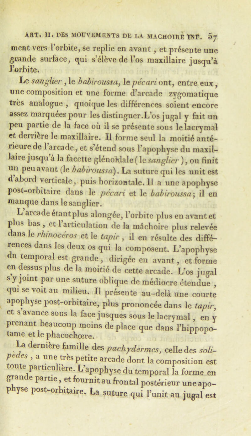 ment vers Porbite, se replic en avant, et presente une .grande surface, qui s’eleve de Pos maxillaire jusqu’a Porbite. Le sanglier, le babiroussa, le pecari ont, entre eux, une composition et une forme d’arcadc zygomatique tres analogue , quoique les differences soient encore assez marquees pour les distinguer.L’os jugal y fait un peu partie de la face oil il se presente sous lelacrymal et deinere le maxillaire. 11 forme seul la moitie ante- rieurede 1 arcade, et s’6tend sous Pnpophyse du maxil- laire jusqu a la facctte glenordalcf le sanglier ), on Hnit un peu avant (le babiroussa). La suture qui les unit est daboid verticale, puis horizontale. II a une apophyse post-oibitaire dans le pecari et le babiroussaj il en manque dans le sanglier. L arcade 6tantplus alongde, l’orbite plus en avant et plus bas , et 1 articulation de la m5choire plus relevee dans le rhinoceros et le tapir, il en resulte des diffe- rences dans les deux os qui la composent. L’apophyse u temporal est grande, dirigee en avant, et forme en dessus plus de la moitie de cette arcade. L’os jugal s y joint par une suture oblique de mediocre etendue , qui se voit an milieu. Il presente au-dela une courte apophyse post-orbitaire, plus prononcee dans le tapir, et s avance sous la face jusques sous le lacrymal en v prenant beaucoup moins de place que dans Phippopo- tame et le phacochoere. ri 1 La derniere famille des pachydermes, celle des soli- P s , a une tres petite arcade dont la composition est e particu iere. L apophyse du temporal la forme en g e partie, et fournit au frontal posterieur une apo- p yse post-orbitaire. La suture qui l’unit au jugal est