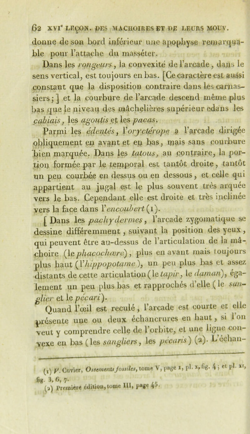 donne de son bord inferieur une apopbyse reinarqija- ble pour Fattachc du masseter. Dans les rongeurs, la convexite de Farcade , dans le sens vertical, est toujours en bas. [Ce caractere est aussi constant que la disposition contra ire dans les carnas- siers;] et la courbure de Farcade descend meme plus bas que le niveau des tn&chelieres superieur edans les cabiais, les agoutis gt les pacas. Parmi les edentes, Y ovycterope a Farcade dirigee obliqueraent en avant et en bas, mais sans courbure d»ien marquee. Dans les tatous, au contraire, la por- tion forrnee par le temporal est tantot droite, tantot un peu courbee en dessus ou en dessous, et celle qui appartient au jugal est le plus souvent Ires arquee vers le bas. Cependant elle est droite et tres inclinee vers la face dans Fencoubert (i). [ Dans les pachy demies, Farcade zygomatique se dessine differemment, suivant la position des yeux, qui peuvent etre au-dessus de Farticulation de la ma- •choire (le phacoclnvrc) , plus en avant mais loujours plus baut (Fhippopotame), un peu plus bas et assez distants de cette articulation (le Zap//1, le daman), ega- lement un peu plus bas et rapproches d’elle (le sun- glier et le pecari). Quand Foeil est recule, Farcade est eourte et elle presente uuc ou deux echancrures en haut, si Foil veut y cornprcndre celle de Forbite, et une ligne con- vene en bas (les sangliers, les pccaris) (»)• Leclian- (,) y. Cuvier, OssemenUJossilcs, tome V, pngc I, pi. % 4 j cl P1 xr> f'B 3’6, 7' i.i H (j) Premiere ciUtiou,tome III, page