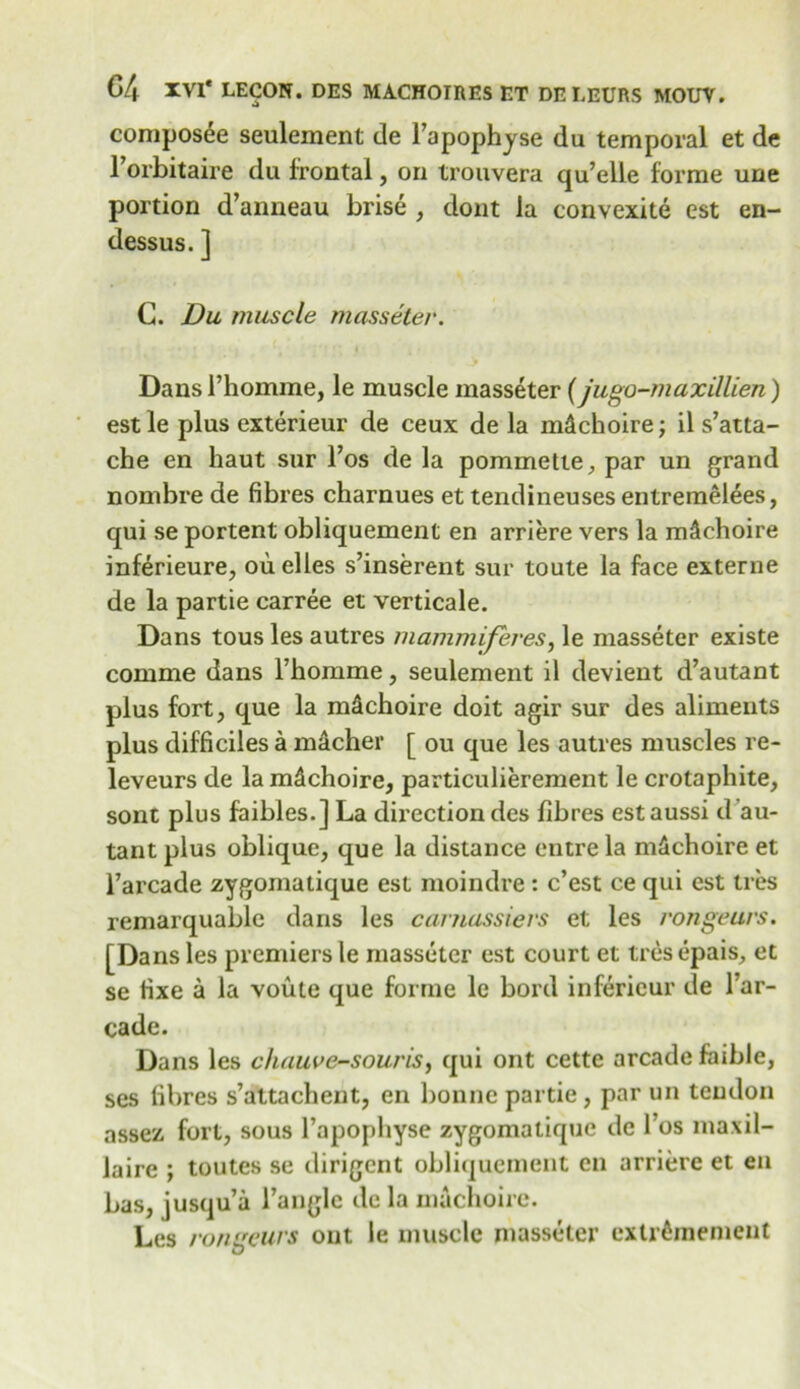 composee seulement de 1’apophyse du temporal et de l’orbitaire du frontal, on trouvera qu’elle forme une portion d’anneau brise , dont la convexite est en- dessus. ] C. Du muscle masseter. Dans i’homme, le muscle masseter (jugo-maxillien) est le plus exterieur de ceux de la m&choire; il s’atta- che en liaut sur l’os de la pommette, par un grand nombre de fibres charnues et tendineuses entremelees, qui se portent obliquement en arriere vers la m&choire inferieure, ouelles s’inserent sur toute la face externe de la partie carree et verticale. Dans tous les autres mammiferes, le masseter existe comme dans l’homme, seulement il devient d’autant plus fort, que la mSchoire doit agir sur des aliments plus difficiles a macher [ ou que les autres muscles re- leveurs de la m&choire, particulierement le crotaphite, sont plus faibles.] La direction des fibres estaussi d au- tant plus oblique, que la distance entre la nicichoire et l’arcade zygoinalique est moindre : c’est ce qui est ti es remarquable dans les camassievs et les rongeurs. [Dans les premiers le masseter est court et tres epais, et se fixe a la voule que forme le bord infericur de Tar- cade. Dans les chauve-souris, qui ont cette arcade faible, ses fibres s’attachent, en bonne partie, par un tendon assez fort, sous Tapophyse zygomalique de Tos maxil- laire ; toutes se dirigcnt obliquement en arriere et en bas, jusqu’a Tangle de la machoire. Les rongeurs out le muscle masseter extr^mement