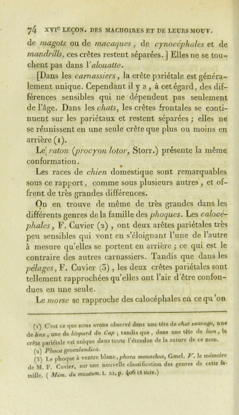de magols ou de macaques, dc cynocephales et de mandrills, ces cretes restent separees. ] Elies ne se tou- client pas dans Yalouatte. [Dans les carnassievs, la Crete parietale est genera- lement unique. Cependant il y a , a cetegard, des dif- ferences sensibles qui ne dependent pas seulement de l’3ge. Dans les chats, les cretes frontales se conti- nuent sur les parietaux et restent separees ; elles ne se reunissent en une seule crete que plus ou moins en arriere (i). Le' raton (procyon lotor, Storr.) presente la merae conformation. Les races de chien domestique sont remarquables sous ce rapport, comme sous plusieurs autres , et of- frent de tres grandes differences. On en trouve de meme de tres grandes dans les differents genres dela famille des phoques. Les caloce- phales, F. Cuvier (2) , ont deux aretes parietales tres peu sensibles qui vont en s’eloignant l’une de l’autre a mesure qu’elles se portent en arriere \ ce qui est le contraire des autres carnassiers. Tandis que dans les pelages, F. Cuvier (5), les deux cretes parietales sont tellement rapprochees qu’elles ont Fair d etre confon- dues en une seule. Le morse se rapproche des calocephales en cequ’on (1) C’csl ce que nous nvons observe dans udc t£te de chat sauvage, une de lirtx, une do Idopard du Cap , tandis que , dans une tile de l,on , la crite jiaridtalc est unique dans loute l’etcndue dc la suture de cc notn. (a) Phoca groenlandica. (3) Le jiboque a ventre blanc,p/ioc« monachus, Gmel. V. Ic mcmoire <l«- M F. Cuvier, sur une nouvcllc classification des genres dc cettc fa- millc. ( Mint, du musdum. t. xi.p. 4o6ct*utv.)