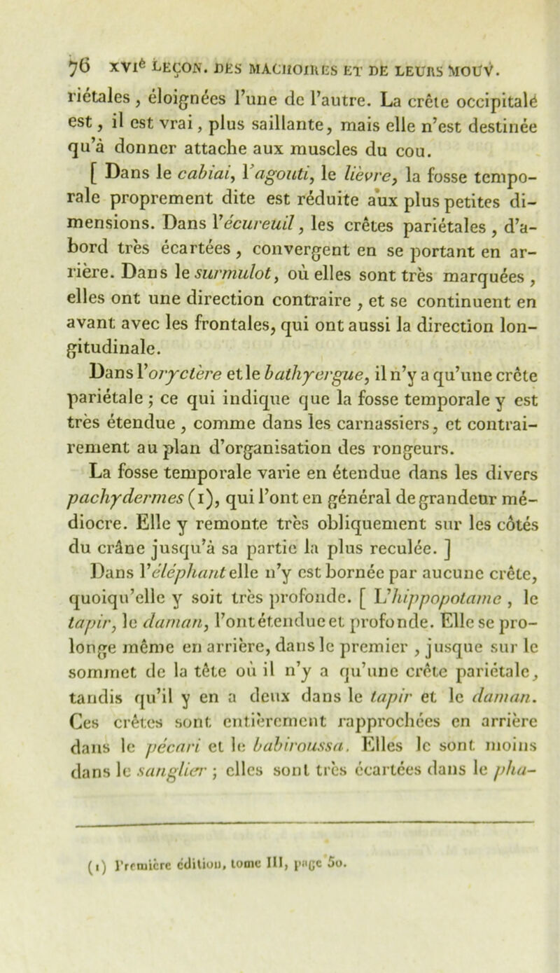 rietales, eloign^es l’une dc l’autre. La crete occipital^ est, il est vrai, plus saillante, mais elle n’est destinee qu’a donner attache aux muscles du cou. [ Dans le cabiai, 1 agouti, le lievrc, la fosse tempo- rale proprement dite est reduite aux plus petites di- mensions. Dans Vecureuil, les cretes parietales , d’a- bord tres ecartees, convergent en se portant en ar- riere. Dans le surmulot, ou elles sont tres marquees , elles ont une direction contraire , et se continuent en avant avec les frontales, qui ont aussi la direction lon- gitudinale. Dans Xoryctere etle bathyergue, il n’y a qu’une crete parietale; ce qui indique que la fosse temporale y est tres etendue , comme dans les carnassiers, et contrai- rement au plan d’organisation des rongeurs. La fosse temporale varie en Etendue dans les divers pachydermes (i), qui Font en general de grandeur me- diocre. Elle y remonte tres obliquement sur les cotes du crclne jusqu’a sa partie la plus reculee. ] Dans V elephant elie n’y est bornee par aucunc crete, quoiqu’elle y soit tres profonde. [ h'hippopotame , le tapir, le daman, l’ontetendueet profonde. Elle se pro- longe raenie en arriere, danslc premier , jusque sur le sornmet de la tfite oix il n’y a qu’une crete parietale, tandis qu’il y en a deux dans le tapir et le daman. Ces crates sont entierement rapprochees en arriere dans le pecari et le babiroussa. Elles 1c sont moins dans le sanglier ; dies sont tres ecartees dans le pha-