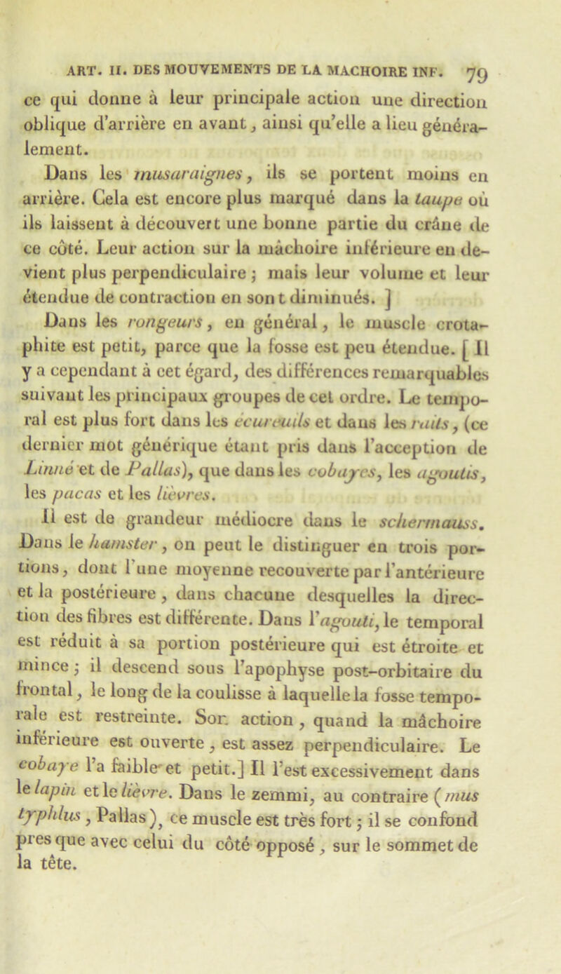 ce qui donne a leur principale action une direction oblique d’arriere en avant, aiusi qu’elle a lieu geuera- lement. Dans les musaraignes, ils se portent moms en arriere. Gela est encore plus marque dans la taupe ou ils laissent a decouvert une bonne partie du crime de ce cote. Leur action sur la machoire inforieure en de- vient plus perpendiculaire ; mais leur volume et leur etendue de contraction en son t diminifos. J Daus les rongeurs, en general, le muscle erota- phite est petit, parce que la fosse est peu etendue. [ II y a cependant a eet egard, des differences remarquables suivaut les prineipaux groupes de cel ordre. Le tempo- ral est plus fort dans les ec uremia et daus les rails, (ce dernier mot generique etaut pris dans l’acception de Linne et de Pallas), que daus les eobajcs, les agoutis, les pacas et les lievres. II est de grandeur mediocre dans le schermcuiss. Dans le hamster, on peut le distinguer en trois por- tions, dont 1 une moyeune reconvene par l’anterieure et la posterieure , dans chaeune desquelles la direc- tion des fibres est differente. Daus Vagouti, le temporal est reduit a sa portion posterieure qui est etroite et mince j il descend sous l’apophyse post-orbitaire du frontal, le long de la coulisse a laquellela fosse tempo- rale est restreiute. Son action , quand la mdchoire inferieure est ouverte , est assez perpendiculaire. Le eooaye la faible'et petit.] II l est excessivement dans 1 elapui et le lie ore. Dans le zemmi, au contraire ( mus typhlus , Pallas)} ce muscle est tres fort; il se confond pres que avec celui du cote oppose , sur le sommet de la tete.