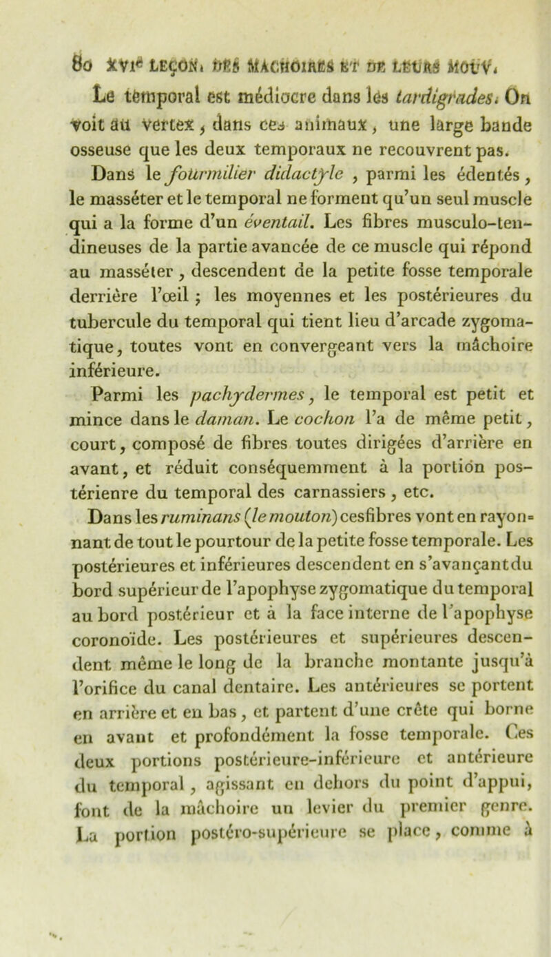 Le temporal est mediocre dans les tardigvndeSi On voit ail vertex i dans ces aniinaux, tine large bande osseuse que les deux temporaux ne recouvrent pas. Dans le foUrmilier didactjrle , parmi les edentes, le masseter et le temporal ne forment qu’un seul muscle qui a la forme d’un eventail. Les fibres musculo-ten- dineuses de la partie avancee de ce muscle qui rdpond au masseter , descendent de la petite fosse temporale derriere 1’oeil j les moyennes et les posterieures du tubercule du temporal qui tient lieu d’arcade zygoma- tique, toutes vont en convergeant vers la m&choire inferieure. Parmi les pachydermes, le temporal est petit et mince dans le daman. Le cochon l’a de merae petit, court, compose de fibres toutes dirigees d’arriere en avant, et reduit consequemment a la portion pos- terienre du temporal des carnassiers , etc. Dans\esruminans (/e/72o^on)cesfibres vont en rayon- nant; de tout le pourtour de la petite fosse temporale. Les posterieures et inferieures descendent en s’avan^antdu bord superieurde Fapophysezygomatique du temporal au bord postirieur eta la face interne de l'apophyse corono'ide. Les posterieures et sup^rieures descen- dent meme le long de la branche montante jusqu’a l’orifice du canal dentaire. Les antihieures sc portent en arriere et en bas , et partent d’une Crete qui borne en avant et profondement la fosse temporale. Ces deux portions posterieure-inferieure ct anterieure du temporal, agissant en dehors du point d’appui, font de la raachoire un levier du premier genre. La portion post£ro-sup6rieure se place, conime i