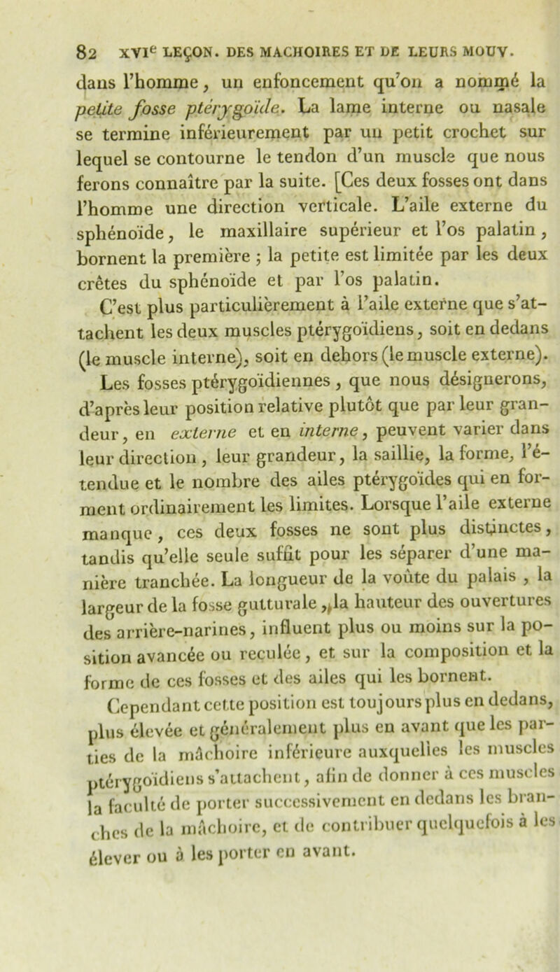 dans l’homme, un enfoncement qu7on a nomnfo la petite fosse ptervgp'ule. La lame interne ou nasale se terraine inferieurement par uu petit crochet sur lequel se contourne le tendon d’un muscle que nous ferons connaitre par la suite. [Ces deux fosses ont dans l’homme une direction verticale. L’aile externe du sphenoide, le maxillaire superieur et l’os palatin , bornent la premiere ; la petite est limitee par les deux cretes du sphenoide et par l’os palatin. C’est plus particulierement a l’aile externe que s7at- tachent les deux muscles pterygo'idiens, soit en dedans (le muscle interne), soit en dehors (le muscle externe). Les fosses pterygo'idiennes , que nous ddsignerons, d’apres leur position relative plutot que par leur gran- deur, en externe et en interne, peuvent varier dans leur direction , leur grandeur, la saillie, la forme, 1 e— tendue et le nombre des ailes pterygo'ides qui en for- ment ordhaairement les limites. Lorsque 1’aile externe manque, ces deux fosses ne sont plus distjnctes, tandis qu’elle seule sufiit pour les separer d’une ma- niere tranchee. La longueur de la voute du palais , la largeur de la fosse gutturale ,*la hauteur des ouvertures des arriere-narines, influent plus ou moins sur la po- sition avancee ou reculee, et sur la composition et la forme de ces fosses et des ailes qui les bornent. dependant cet.ie position est touj ours plus en dedans, plus elevee et generalement plus en avant que les par- ties de la mficnoire inforieure nuxquelies les muscles pterygoidiens s’attachem, alin de donner a ces muscles la faculte de porter successivement en dedans les bran- ches de la mftcboire, et de contribuer quclquefois a les Clever ou a les porter en avant.