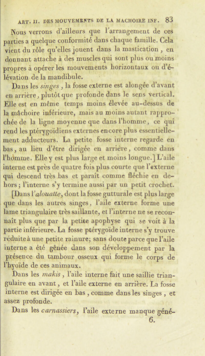 Nous verrons d’ailleurs que rarrangement de ces parties a quelque conformity dans chaque faniille. Cela vient du role qu’elles jouent dans la mastication , eii donnant attache a des muscles qui sont plus ou moins proprcs a operer les mouvements horizontaux ou d £- lyvation de la mandibule. Dans les singes , la fosse externe est alongee d’avant en arriere, plutot que profonde dans le sens vertical. Elle est en meme temps moins elev^e au-dessus de la m&choire inferieure, maisau moins autant rappro- chde de la ligne moyenne que dans l’homme, ce qui rend les pterygoidiens externes encore plus essentielle- raent adducteurs. La petite fosse interne regarde en has, au lieu d’etre dirig£e en arriere, comme dans l’homme. Elley est plus large et moins longue.] L’aile interne est pres de quatre fois plus courte que 1’externe qui descend ties bas et parait comme flechie en de- hors ; l’interne s’y termine aussi par un petit crochet. [Dans Valouatte, dont la fosse gutturale est plus large que dans les autres singes, l’aile externe forme une lame triangulaire ties saillante, et l’interne ne se recon- nait plus que par la petite apophyse qui se voit a la partie inferieure. La fosse pterygoide interne s’y trouve reduitea une petite rainure; sans douteparce quel’aile interne a ete genee dans son developpement par la presence du tambour osseux qui forme le corps de l’hyoide de ces animaux. Dans les mahis, l'aile interne fait une saillie trian- gulaire en avant, et l’aile externe en arriere. La fosse interne est dirigee en bas , comme dans les singes , et assez profonde. Dans les carnassiersf l’aile externe manque gen£- 6.